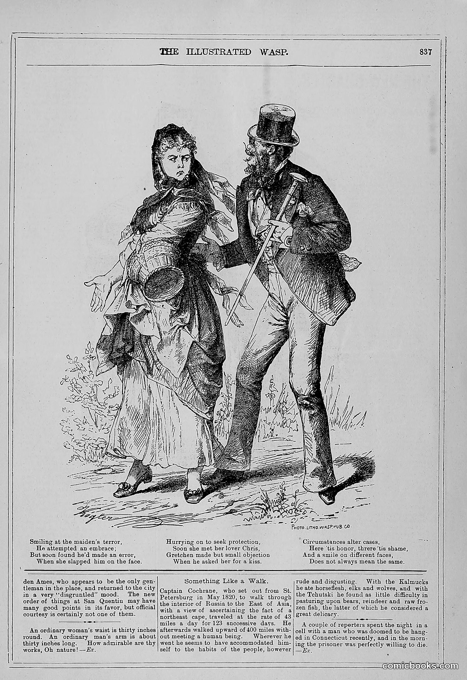 The Wasp — 1879 — page 818 of 846