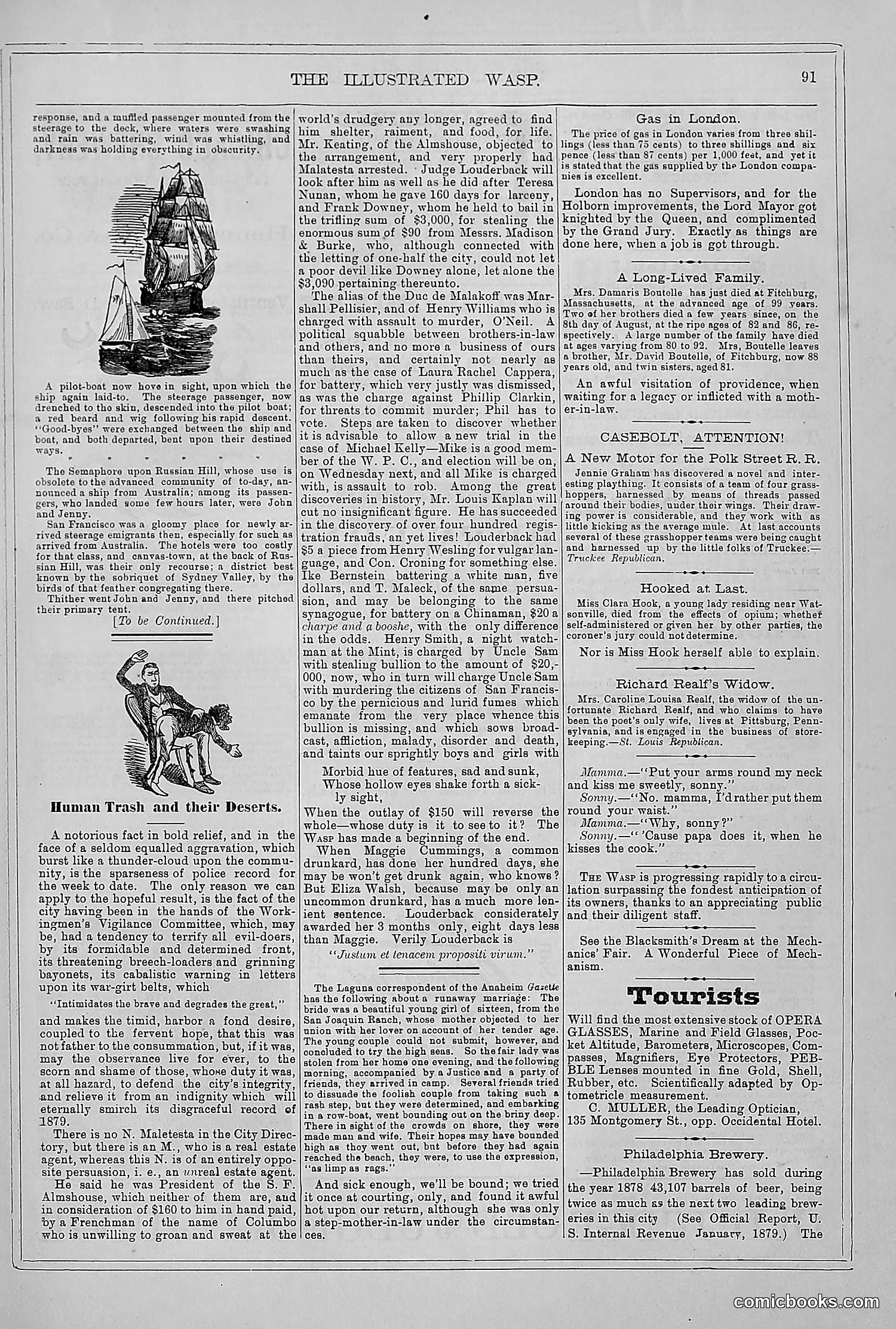 The Wasp — 1879 — page 84 of 846