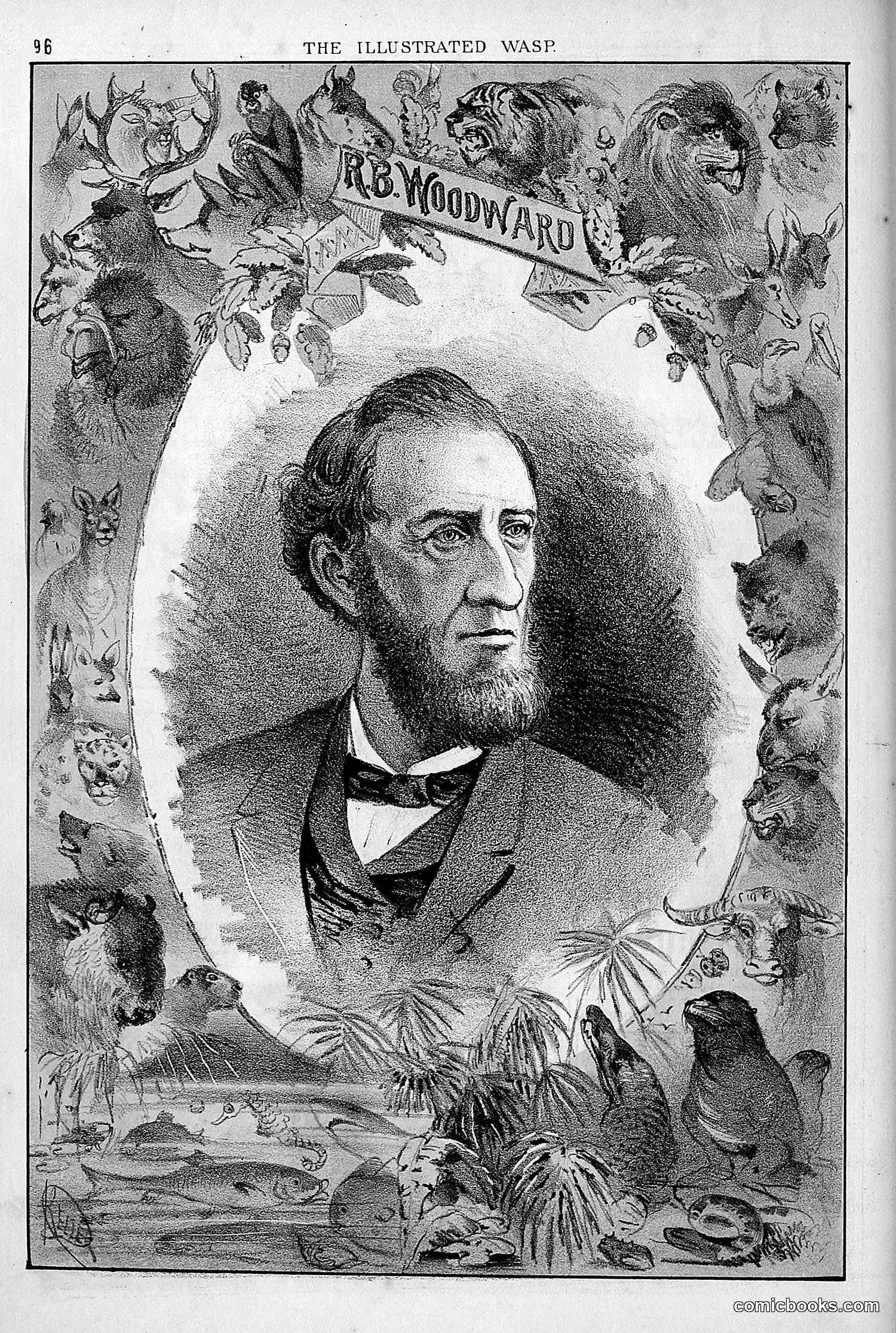 The Wasp — 1879 — page 89 of 846