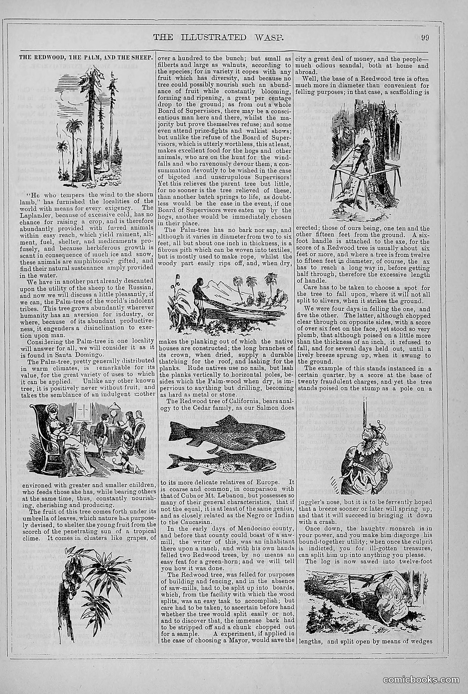 The Wasp — 1879 — page 92 of 846