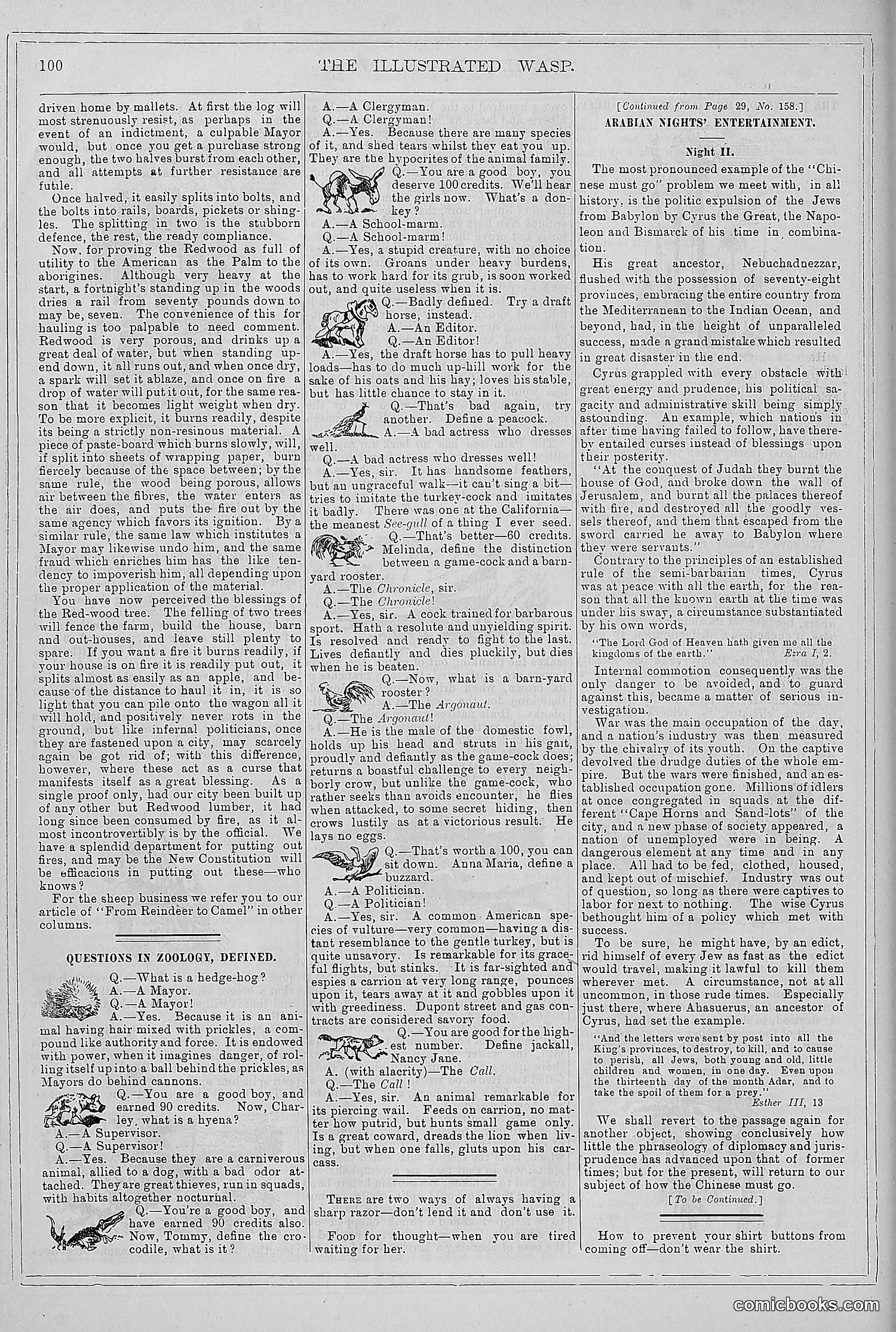 The Wasp — 1879 — page 93 of 846