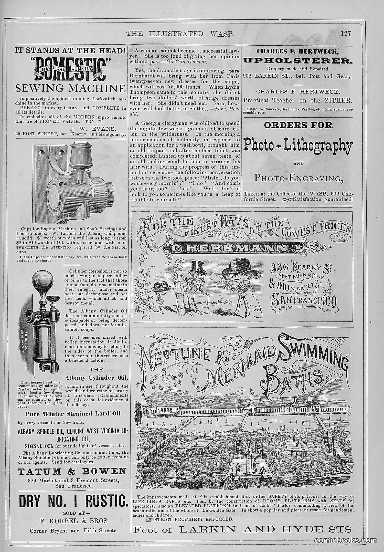 The Wasp — 1880 — page 134 of 352