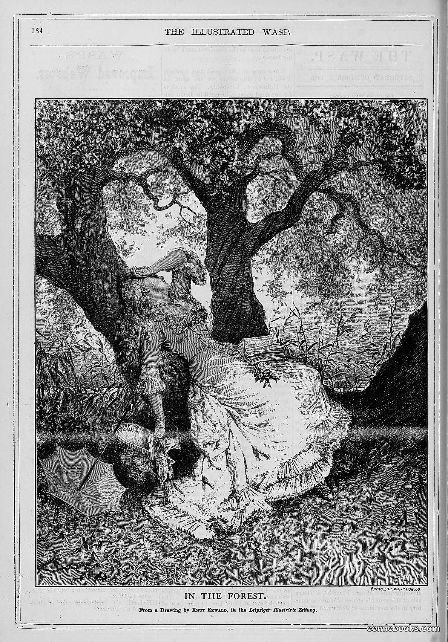 The Wasp — 1880 — page 141 of 352