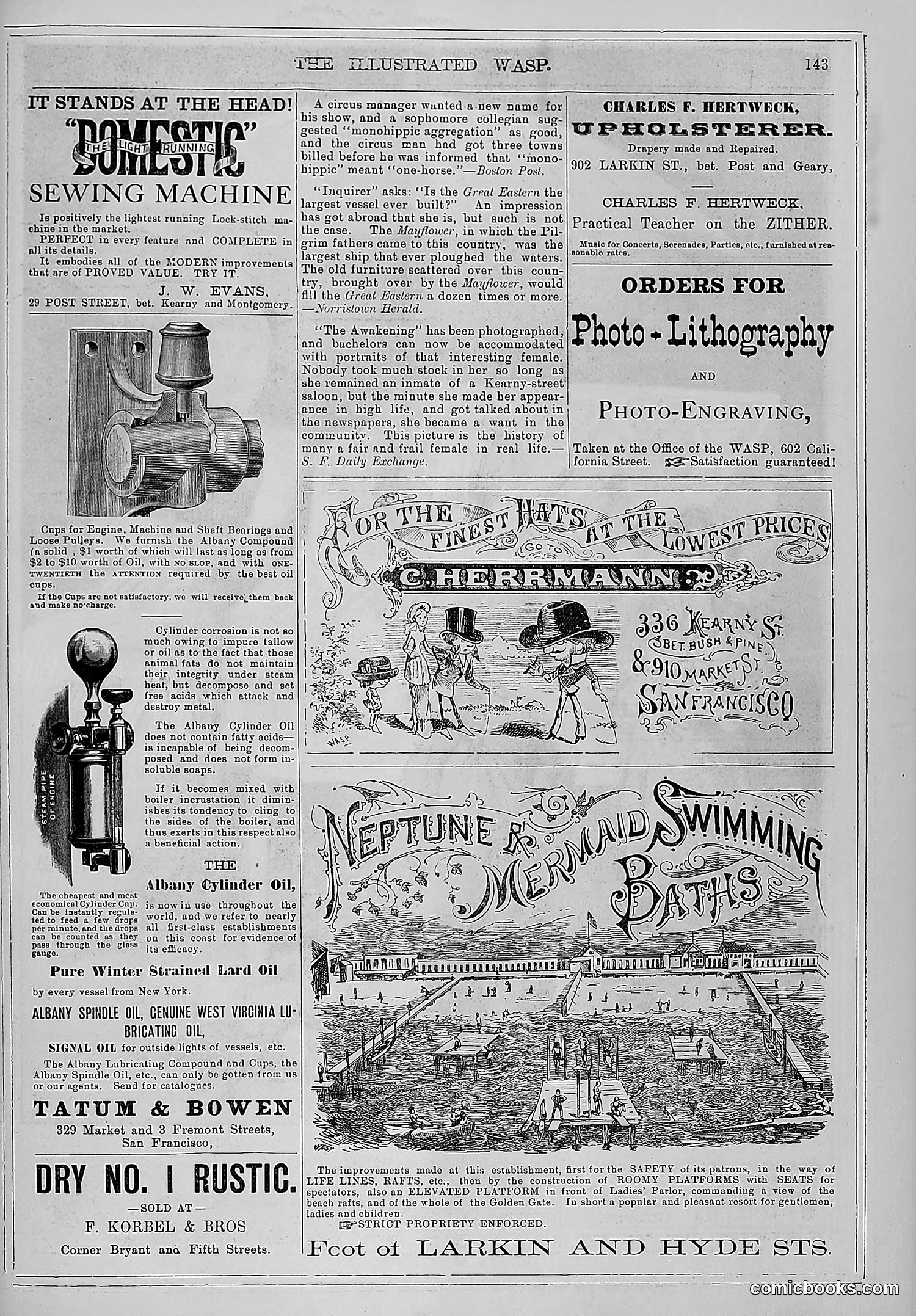 The Wasp — 1880 — page 150 of 352