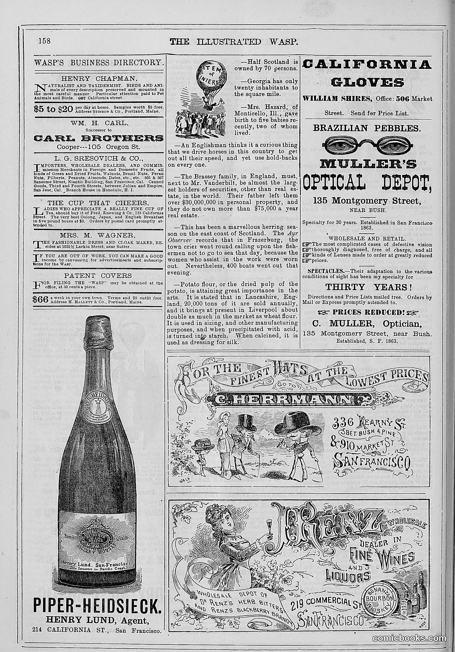 The Wasp — 1880 — page 165 of 352