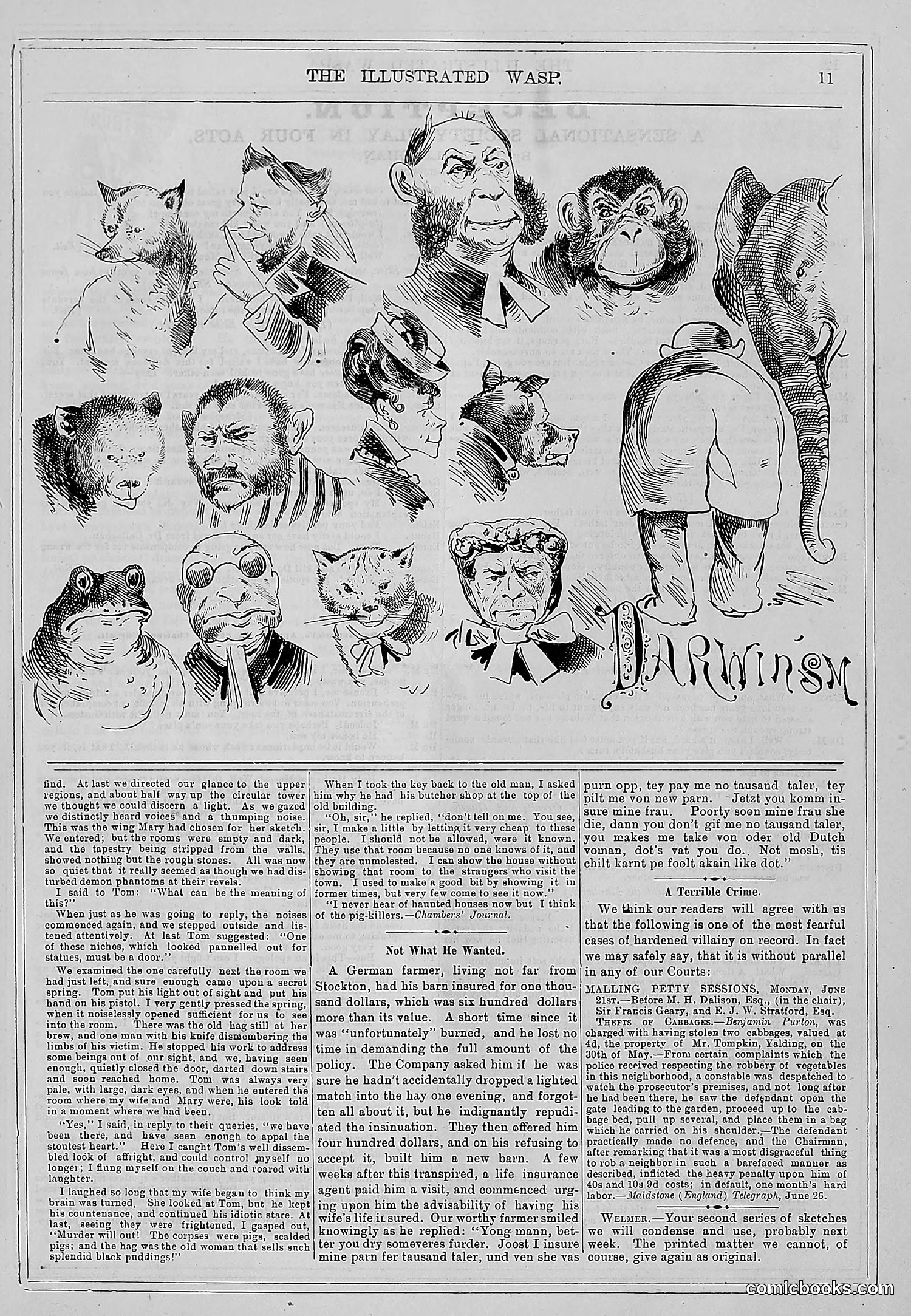 The Wasp — 1880 — page 18 of 352