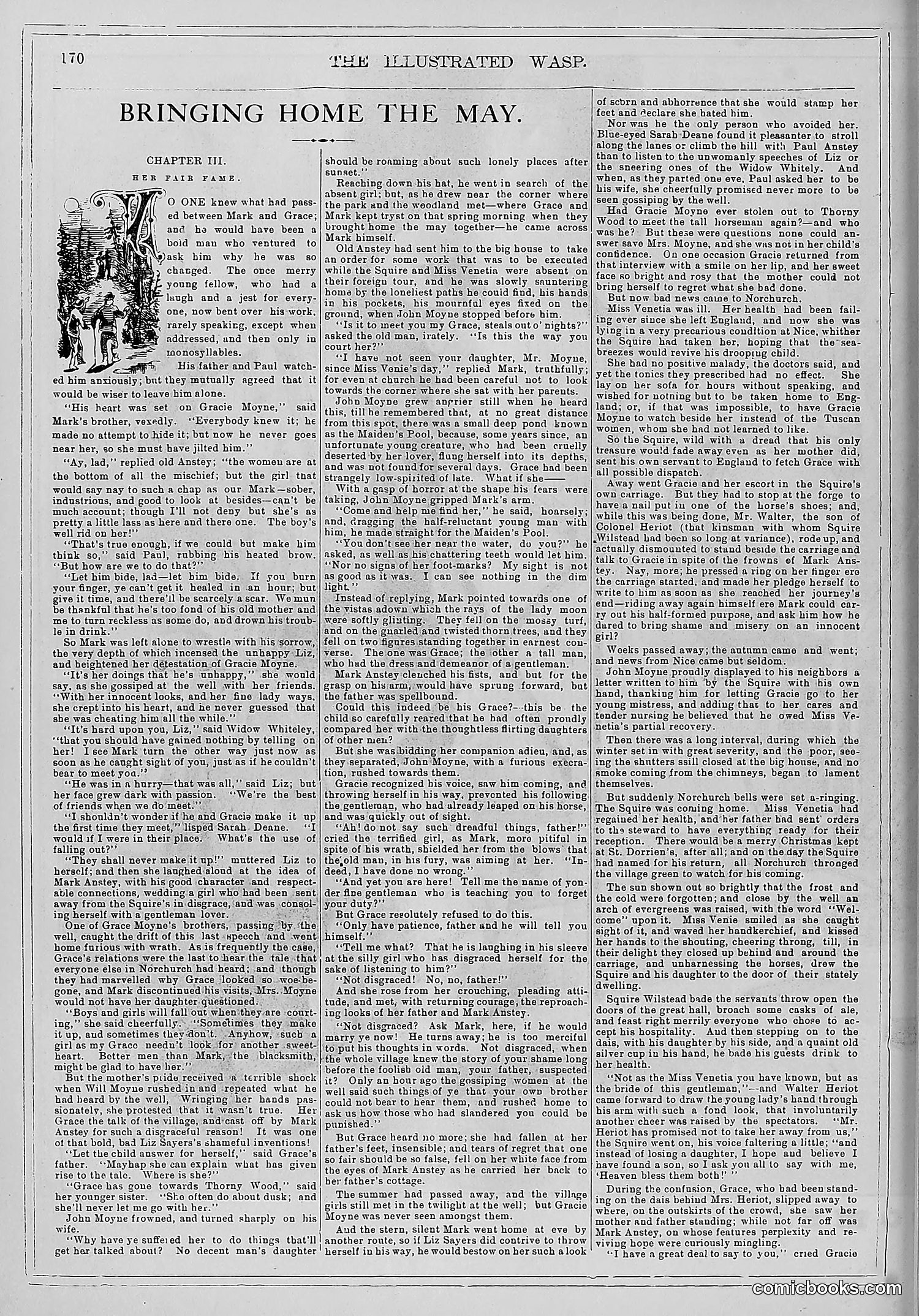 The Wasp — 1880 — page 177 of 352