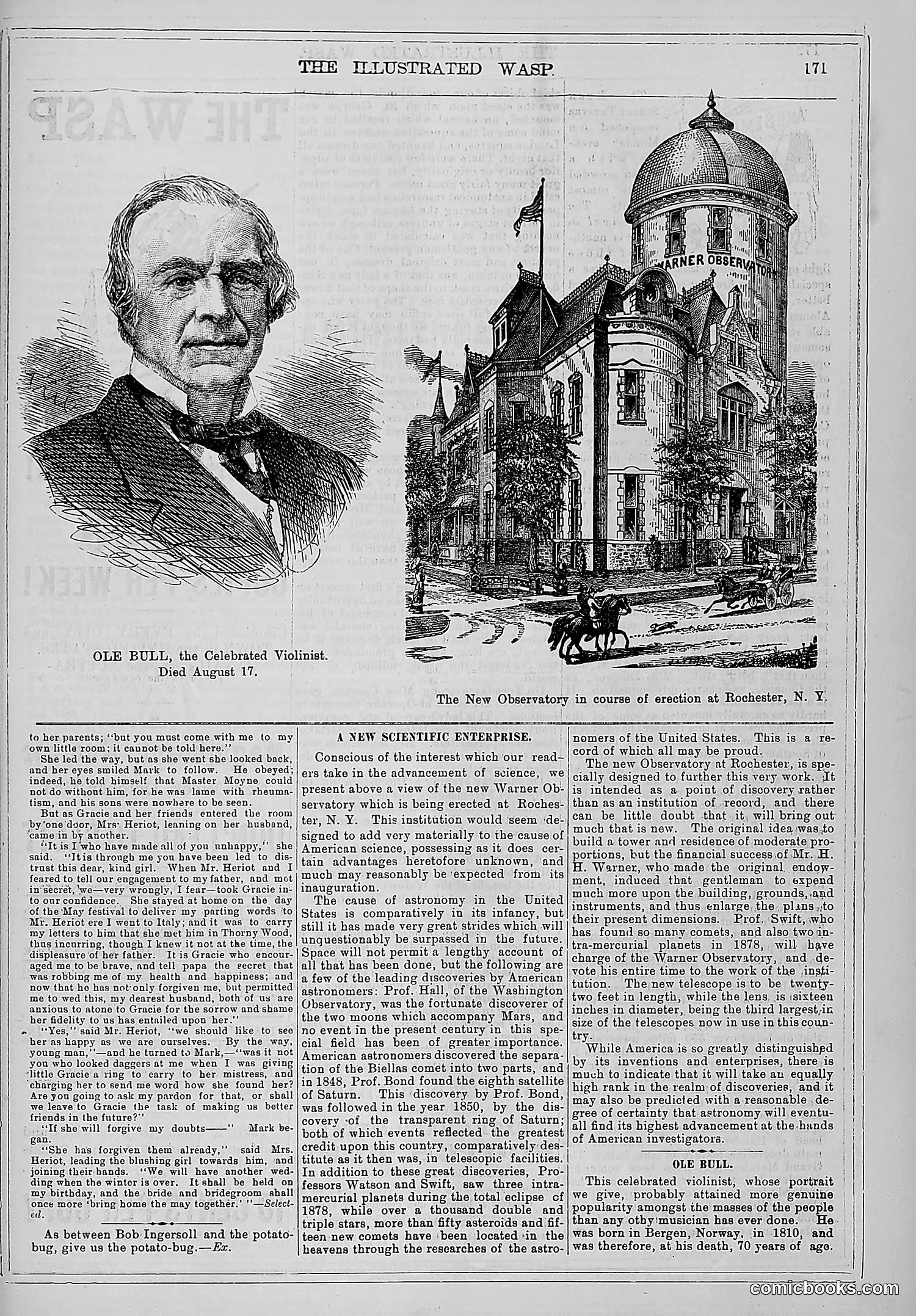 The Wasp — 1880 — page 178 of 352