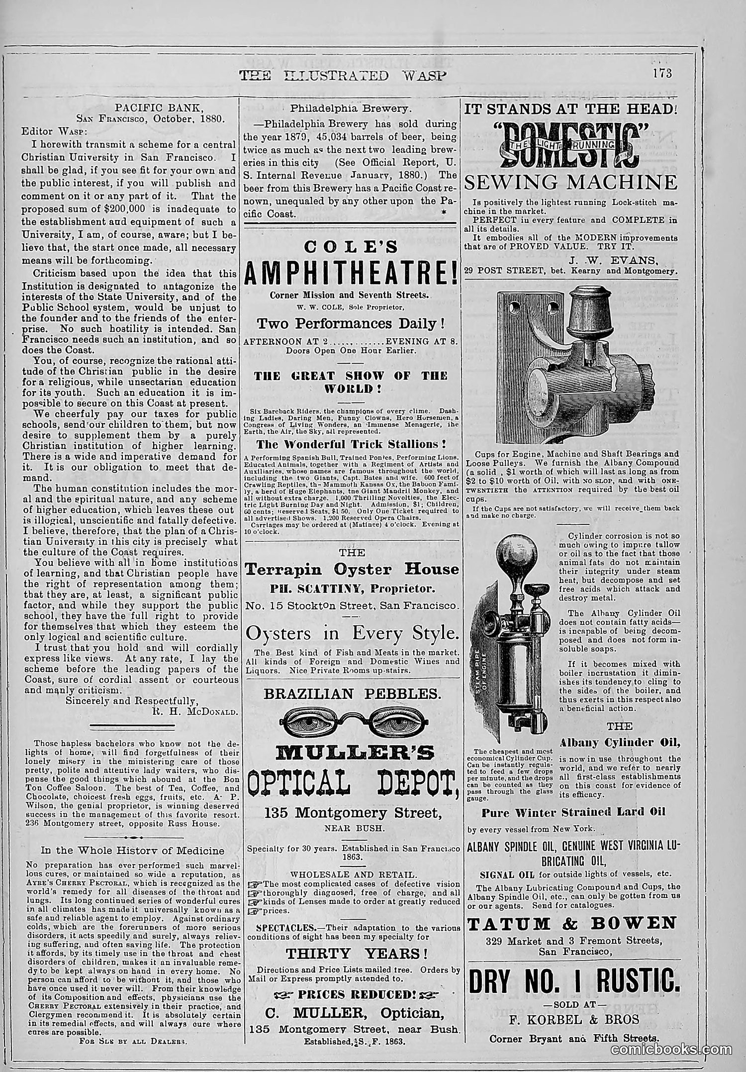 The Wasp — 1880 — page 180 of 352