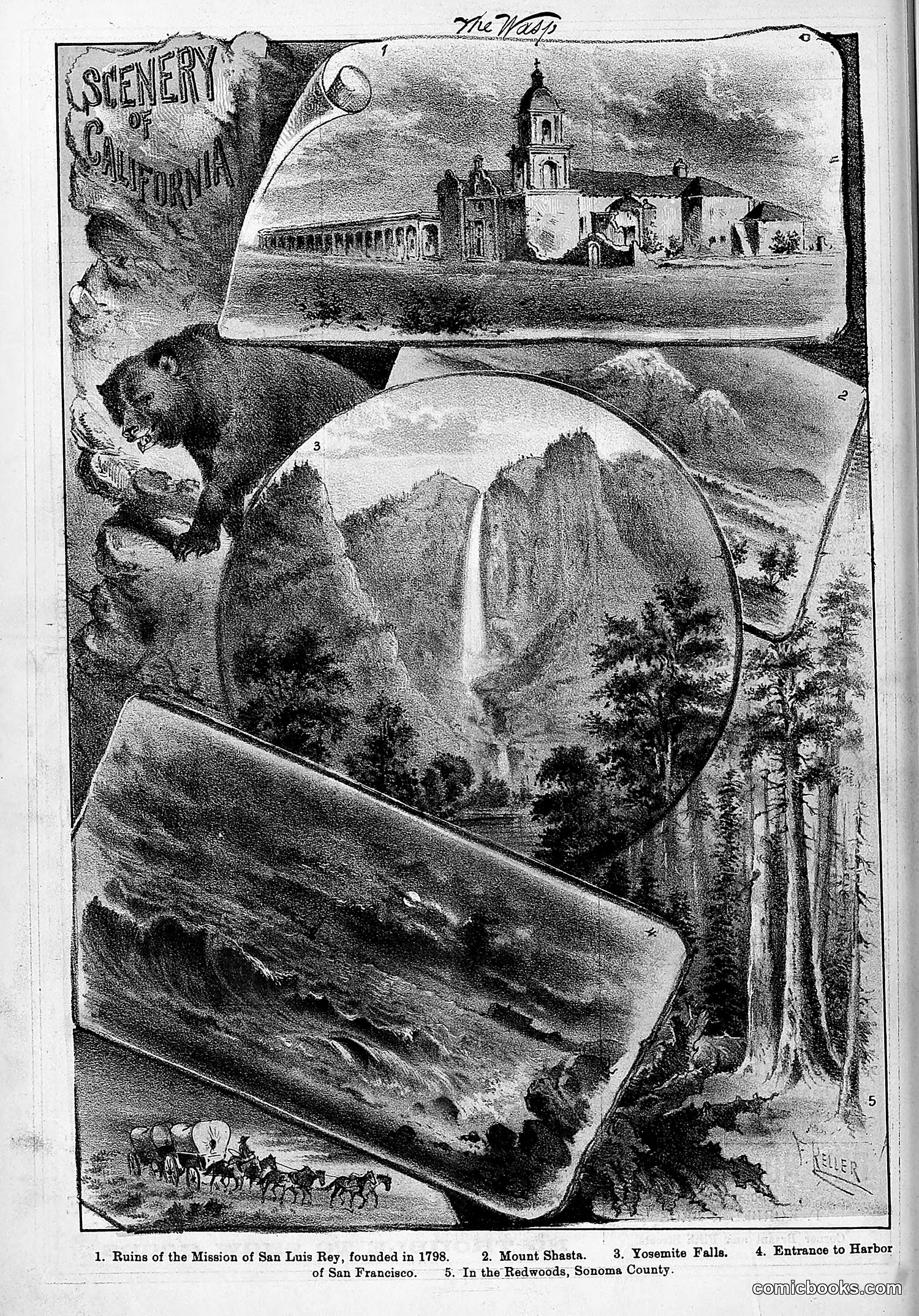The Wasp — 1880 — page 199 of 352