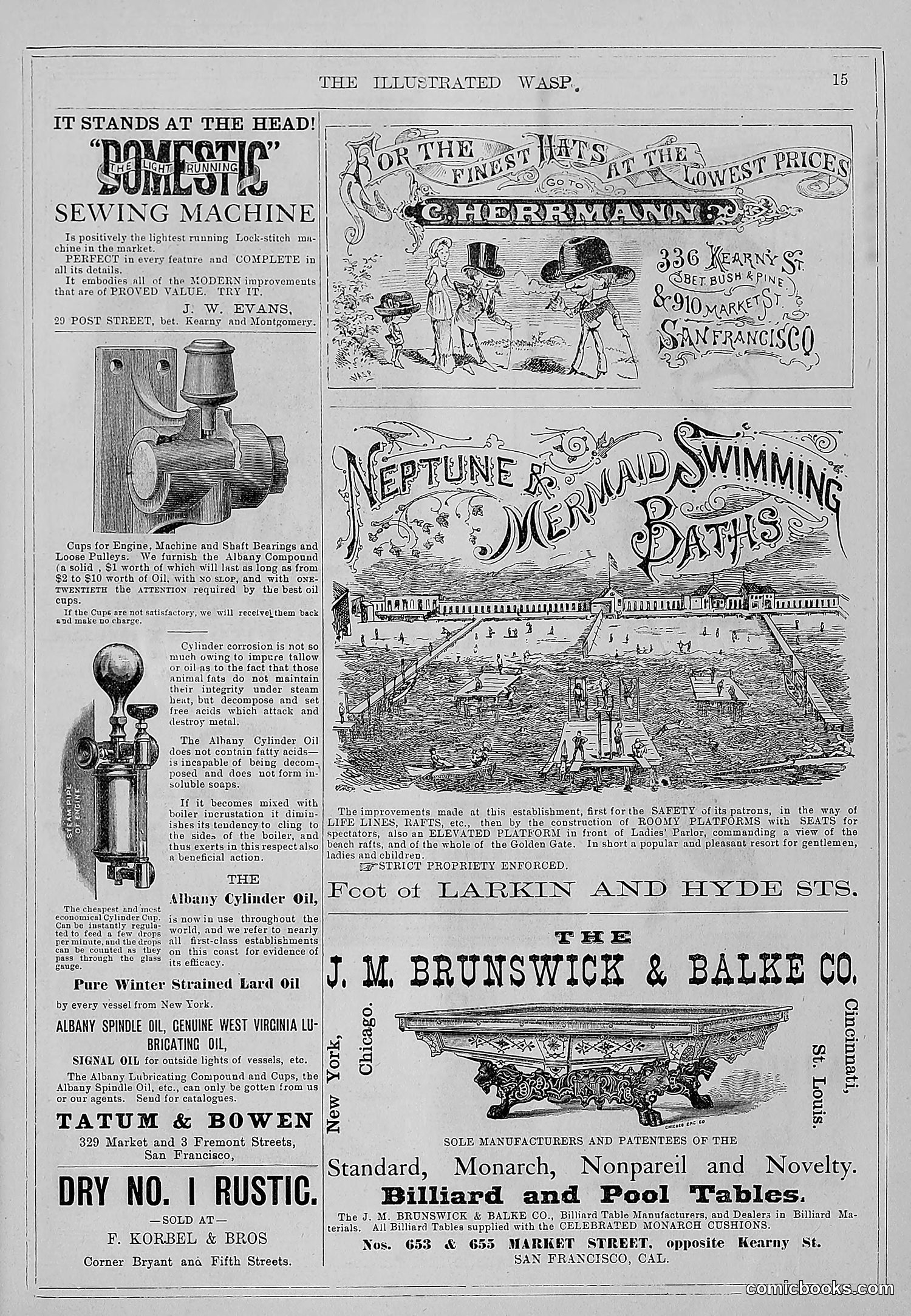The Wasp — 1880 — page 22 of 352