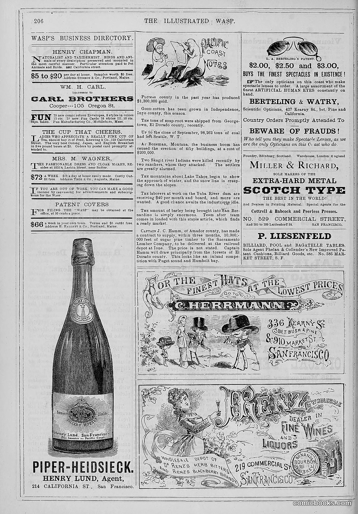 The Wasp — 1880 — page 213 of 352