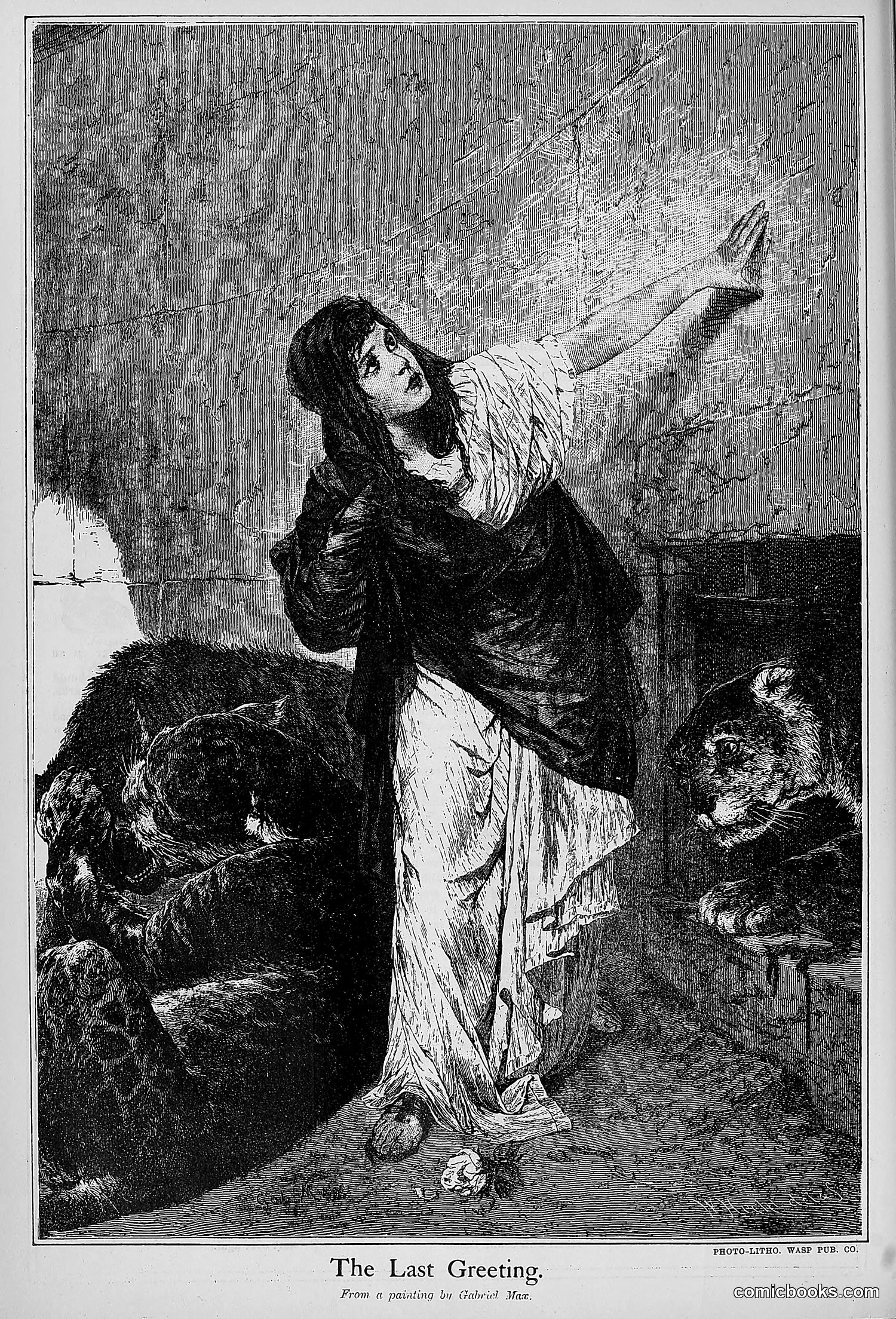 The Wasp — 1880 — page 221 of 352