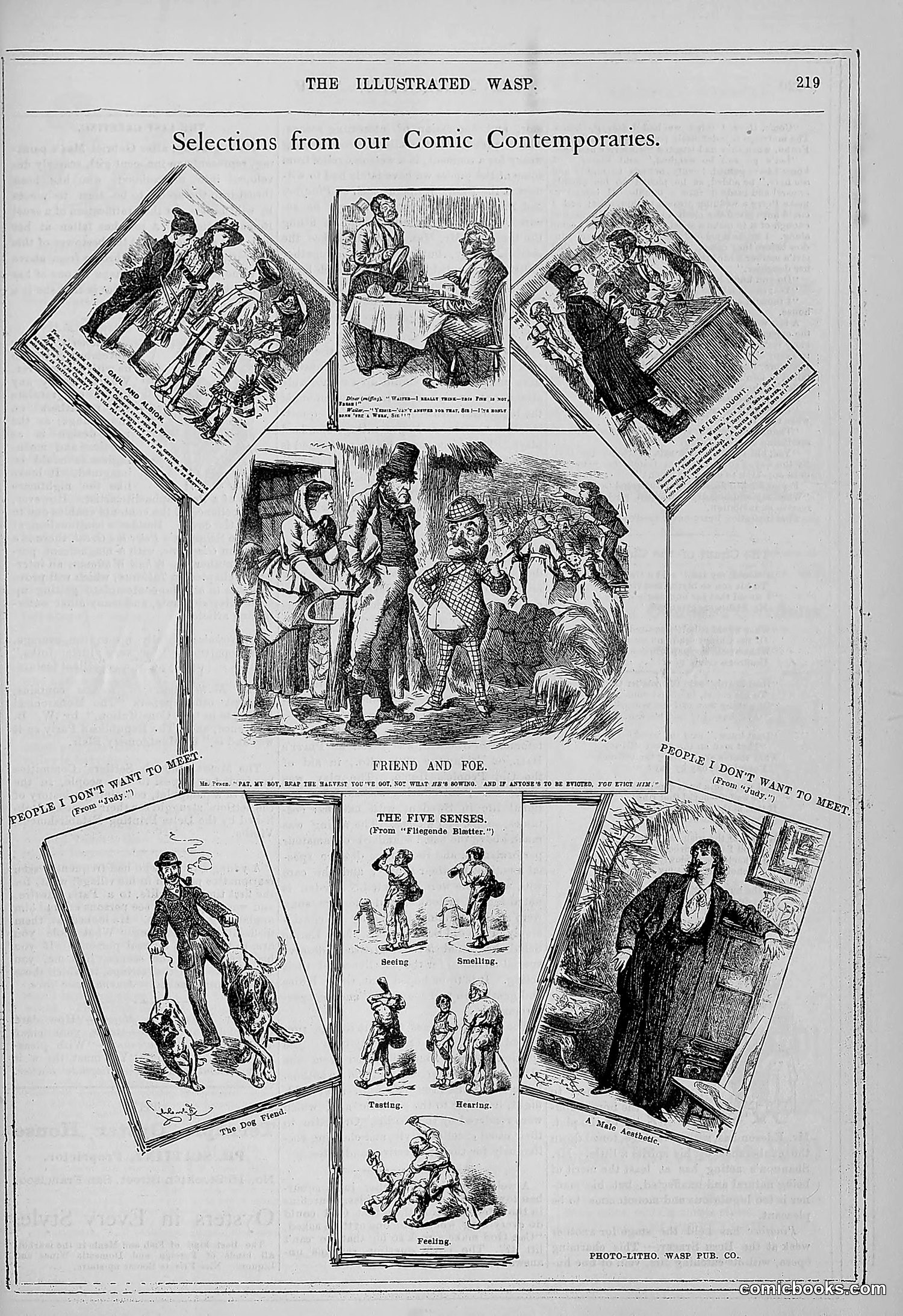The Wasp — 1880 — page 226 of 352