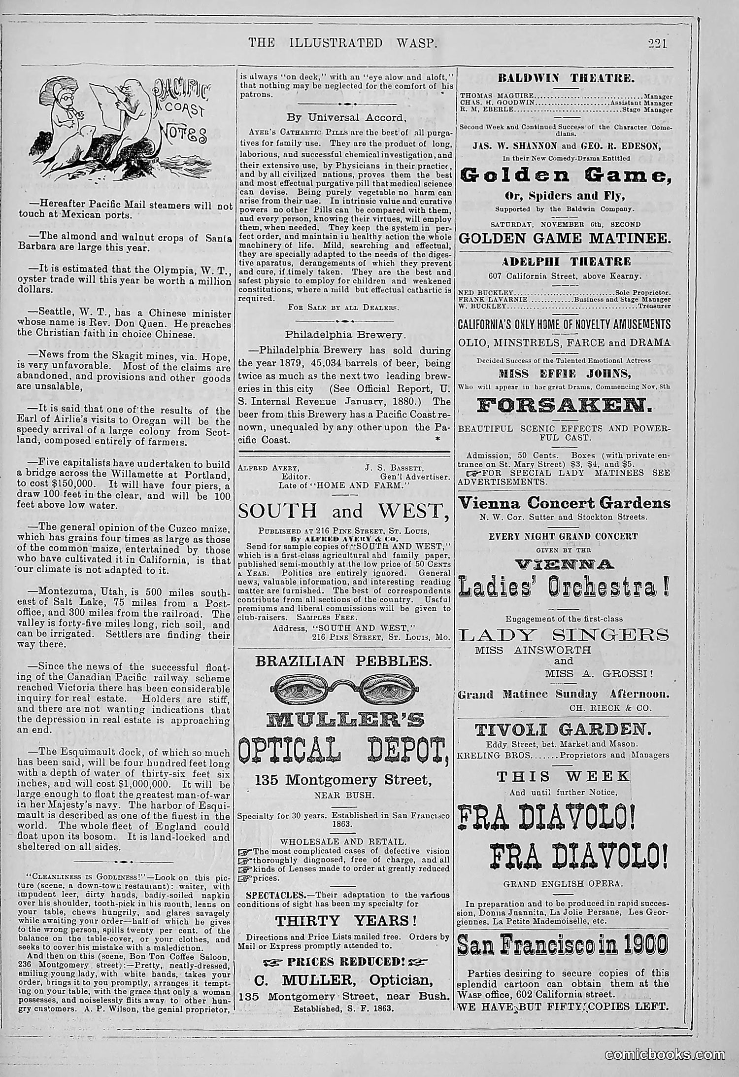 The Wasp — 1880 — page 228 of 352