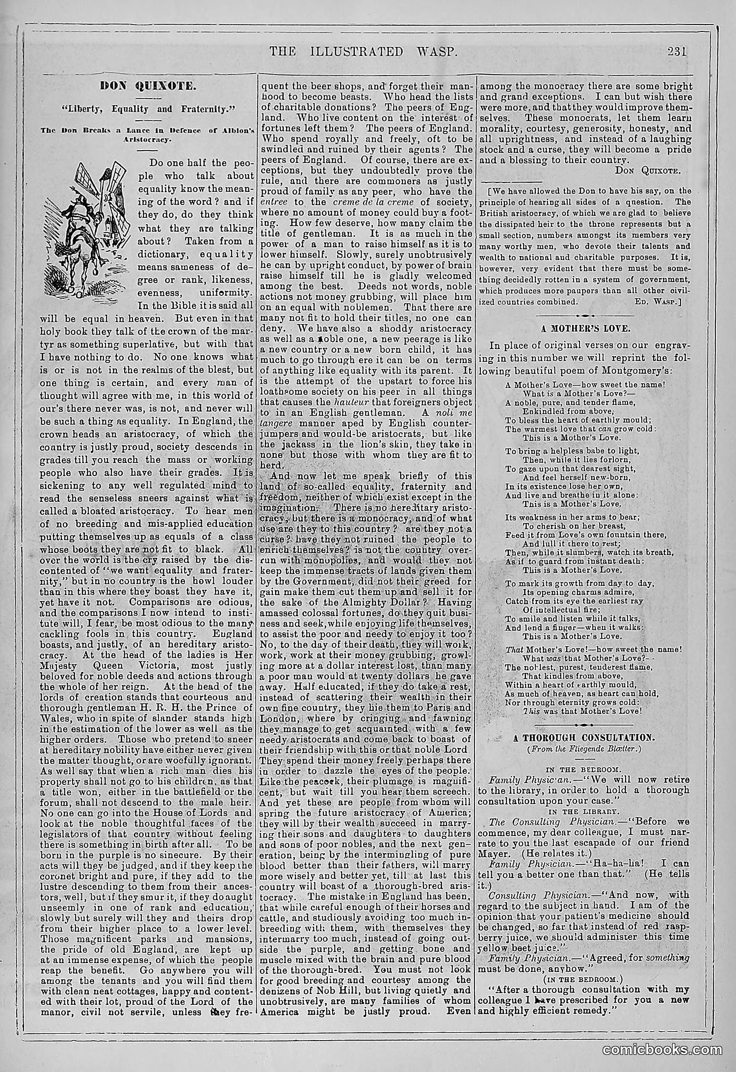 The Wasp — 1880 — page 238 of 352
