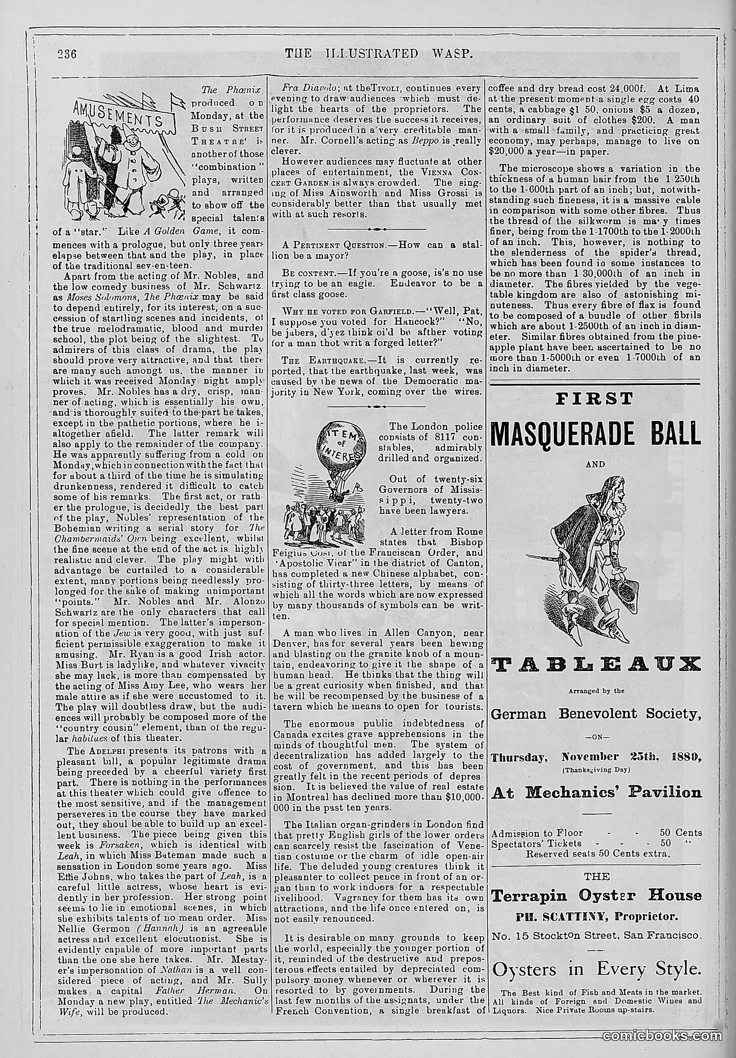 The Wasp — 1880 — page 243 of 352