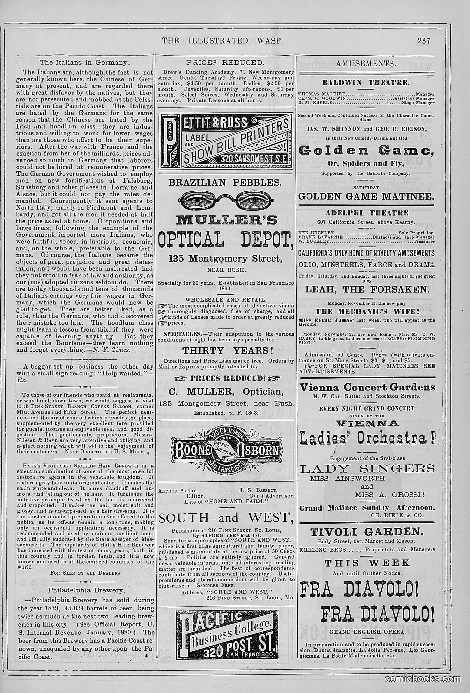 The Wasp — 1880 — page 244 of 352