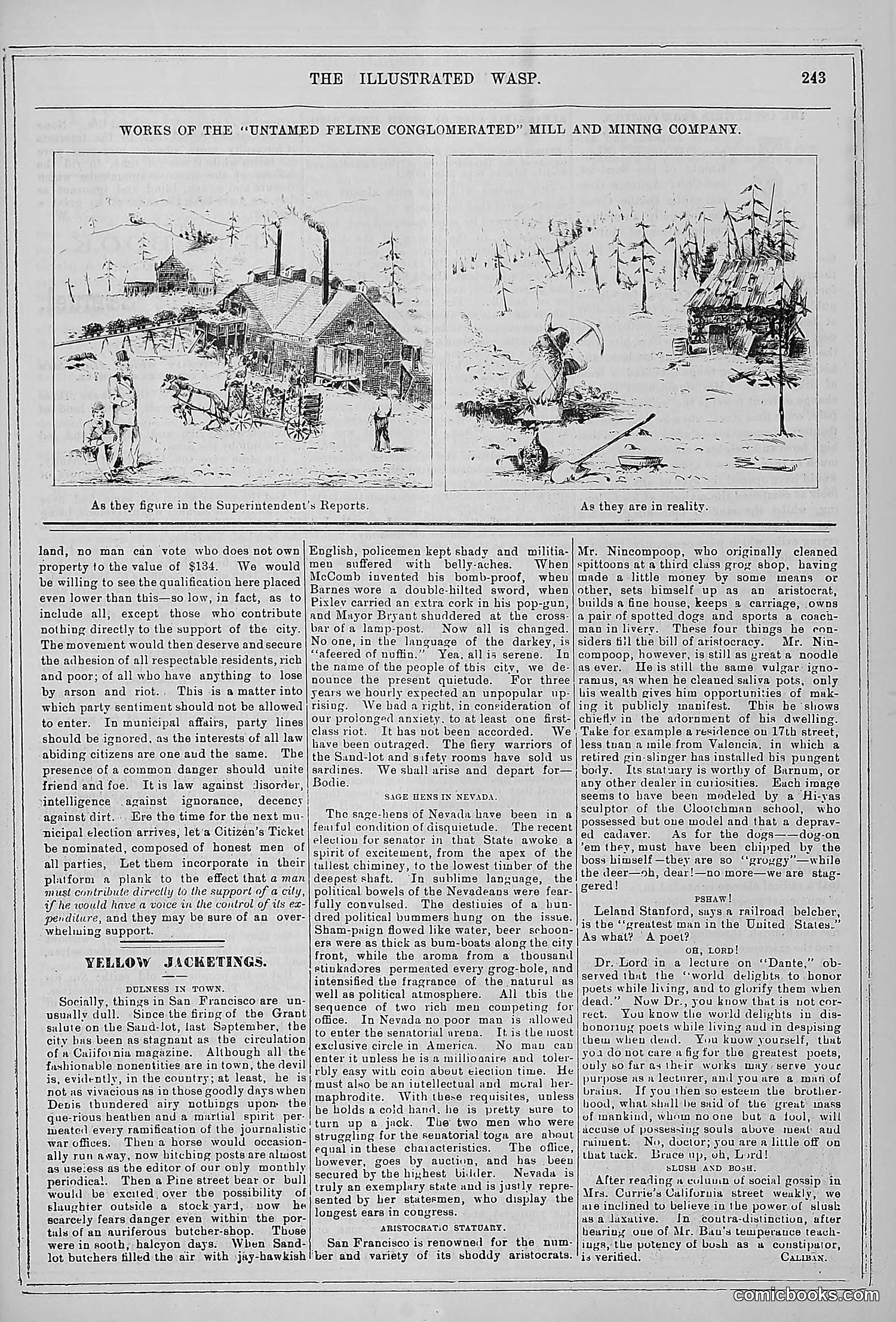 The Wasp — 1880 — page 250 of 352