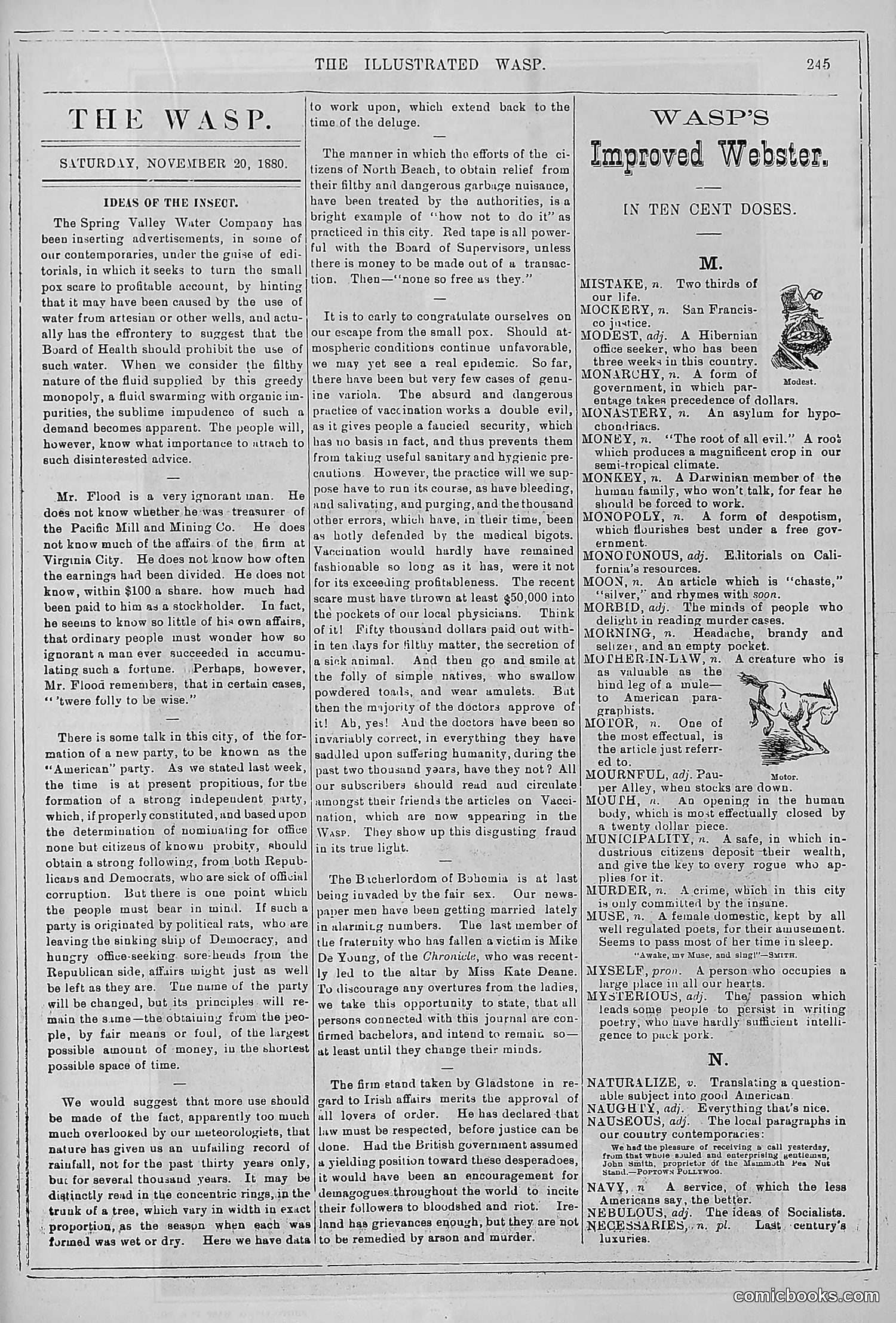 The Wasp — 1880 — page 252 of 352