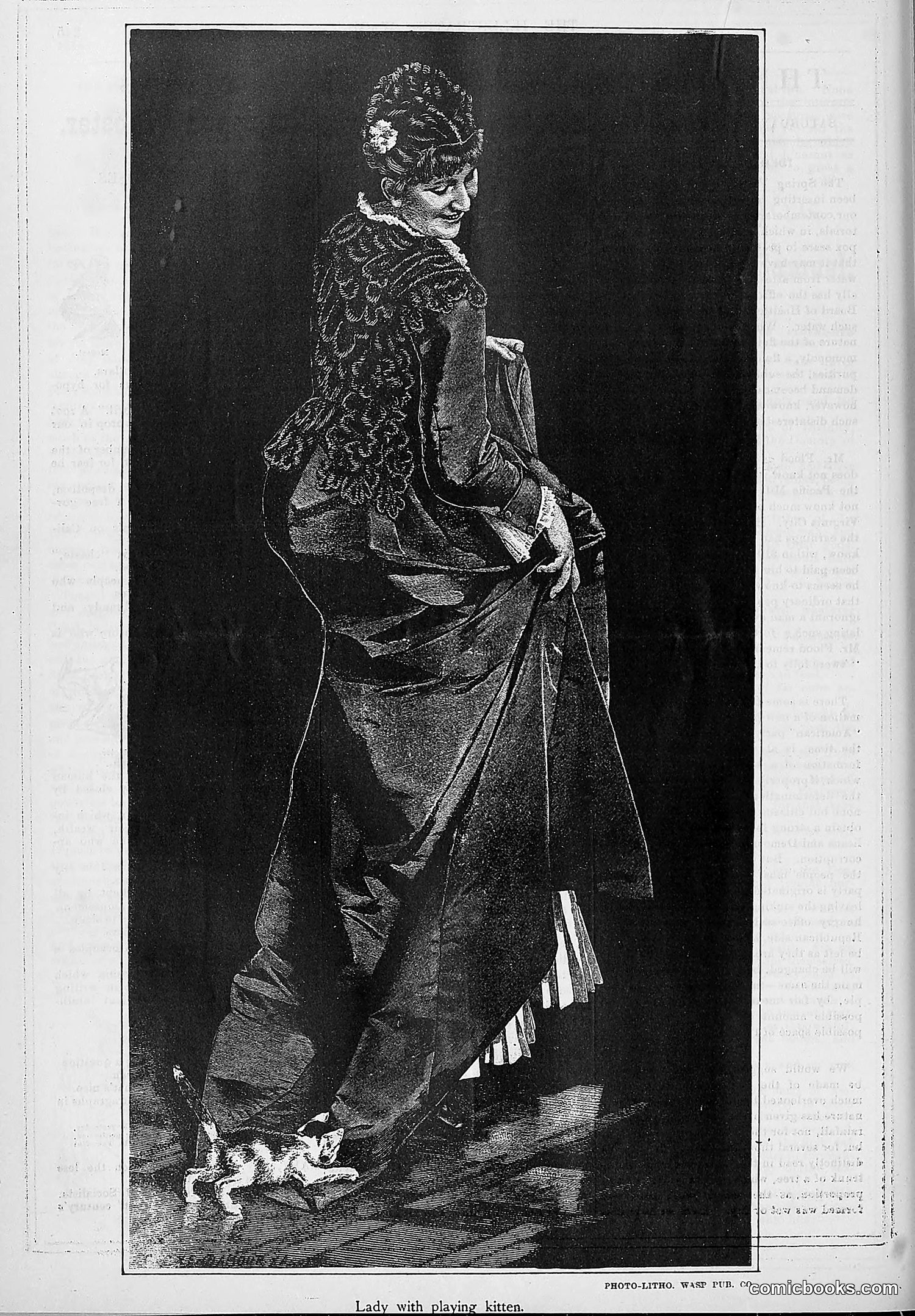 The Wasp — 1880 — page 253 of 352
