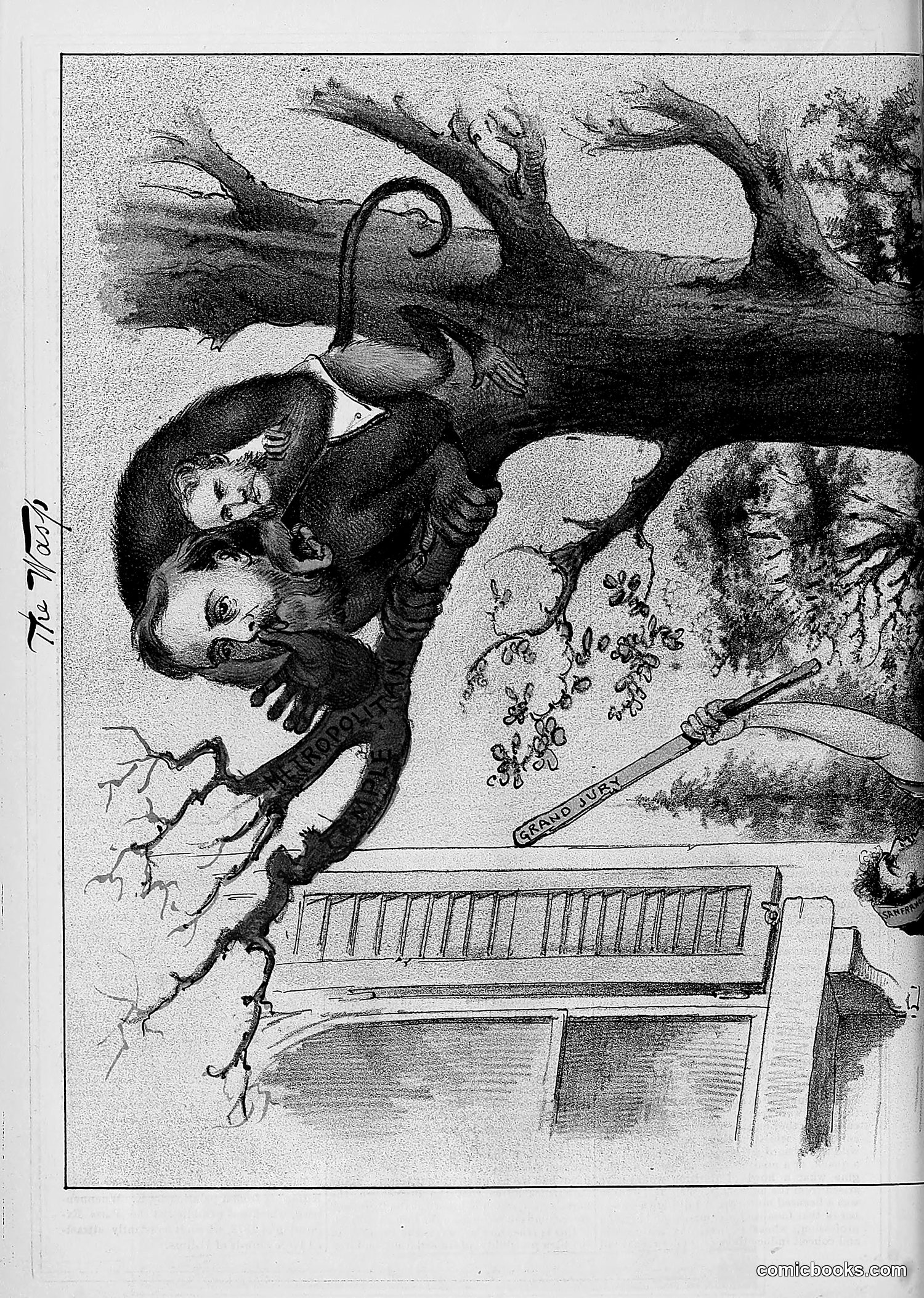 The Wasp — 1880 — page 255 of 352