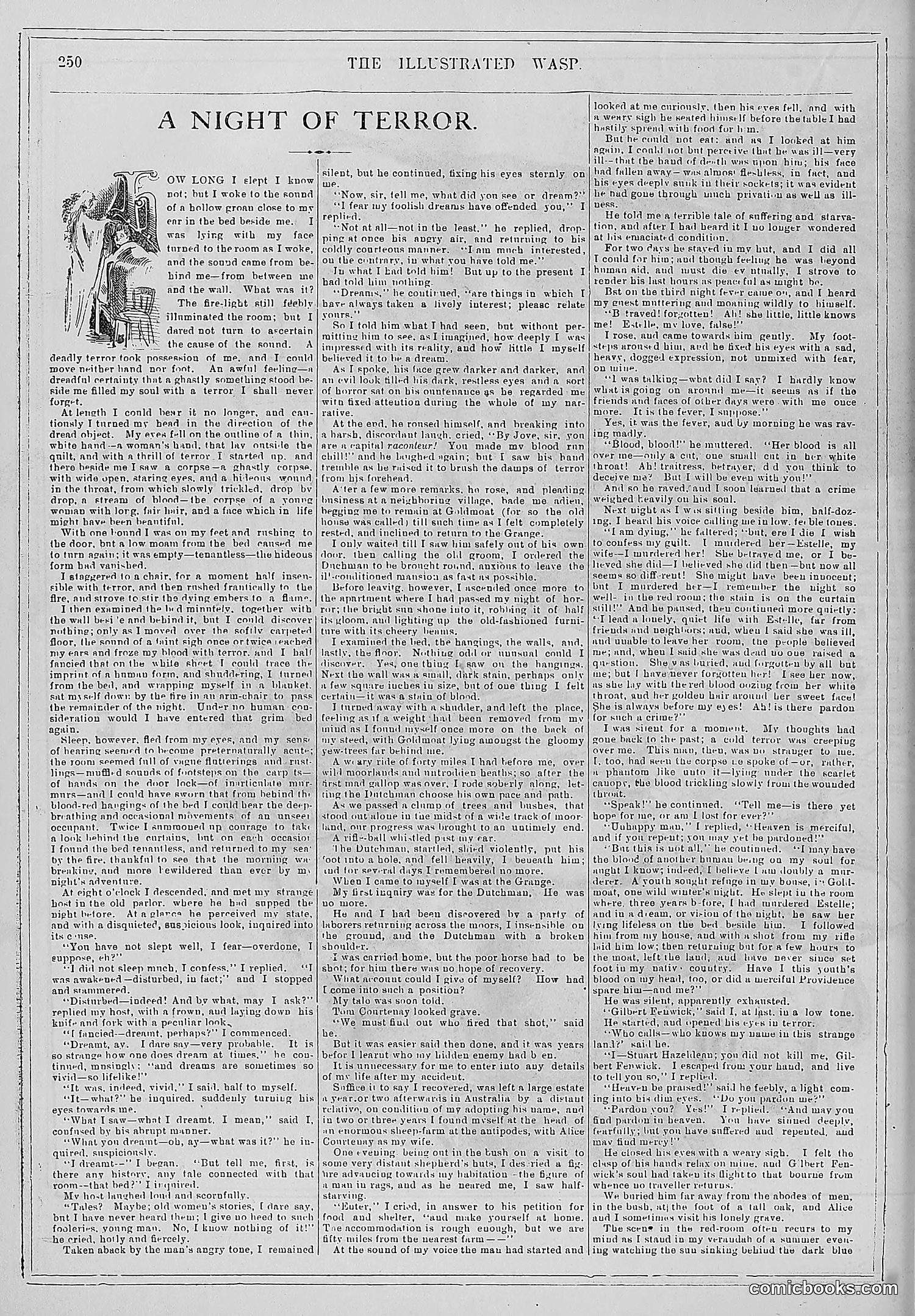 The Wasp — 1880 — page 257 of 352