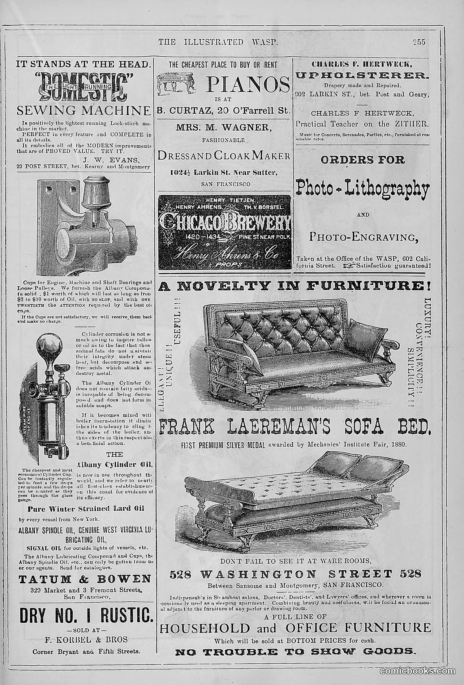 The Wasp — 1880 — page 262 of 352
