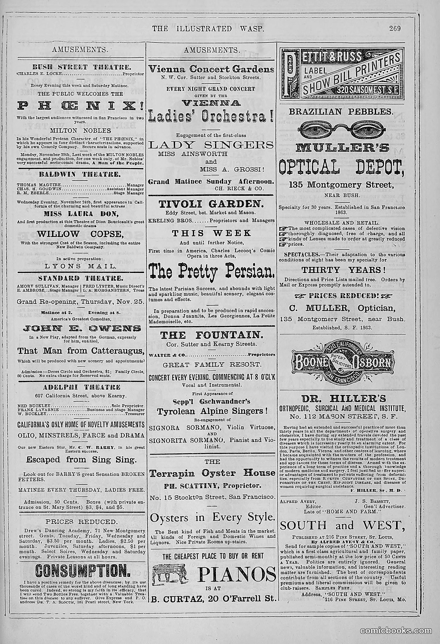 The Wasp — 1880 — page 276 of 352