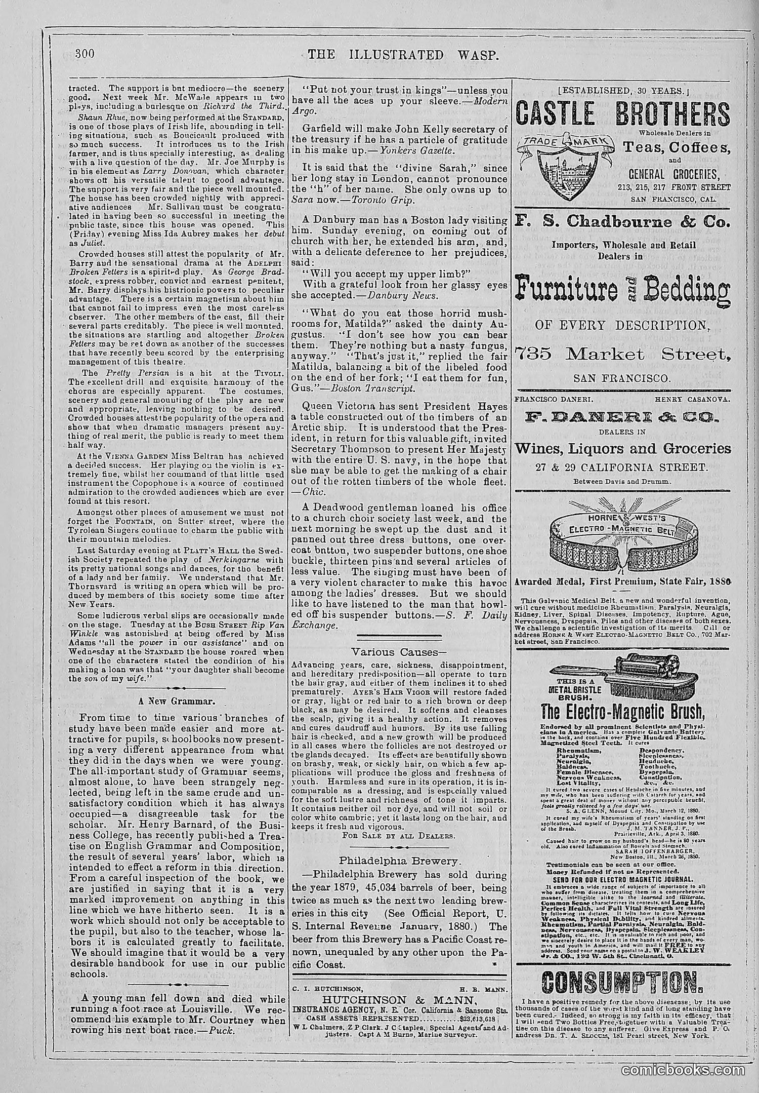 The Wasp — 1880 — page 307 of 352