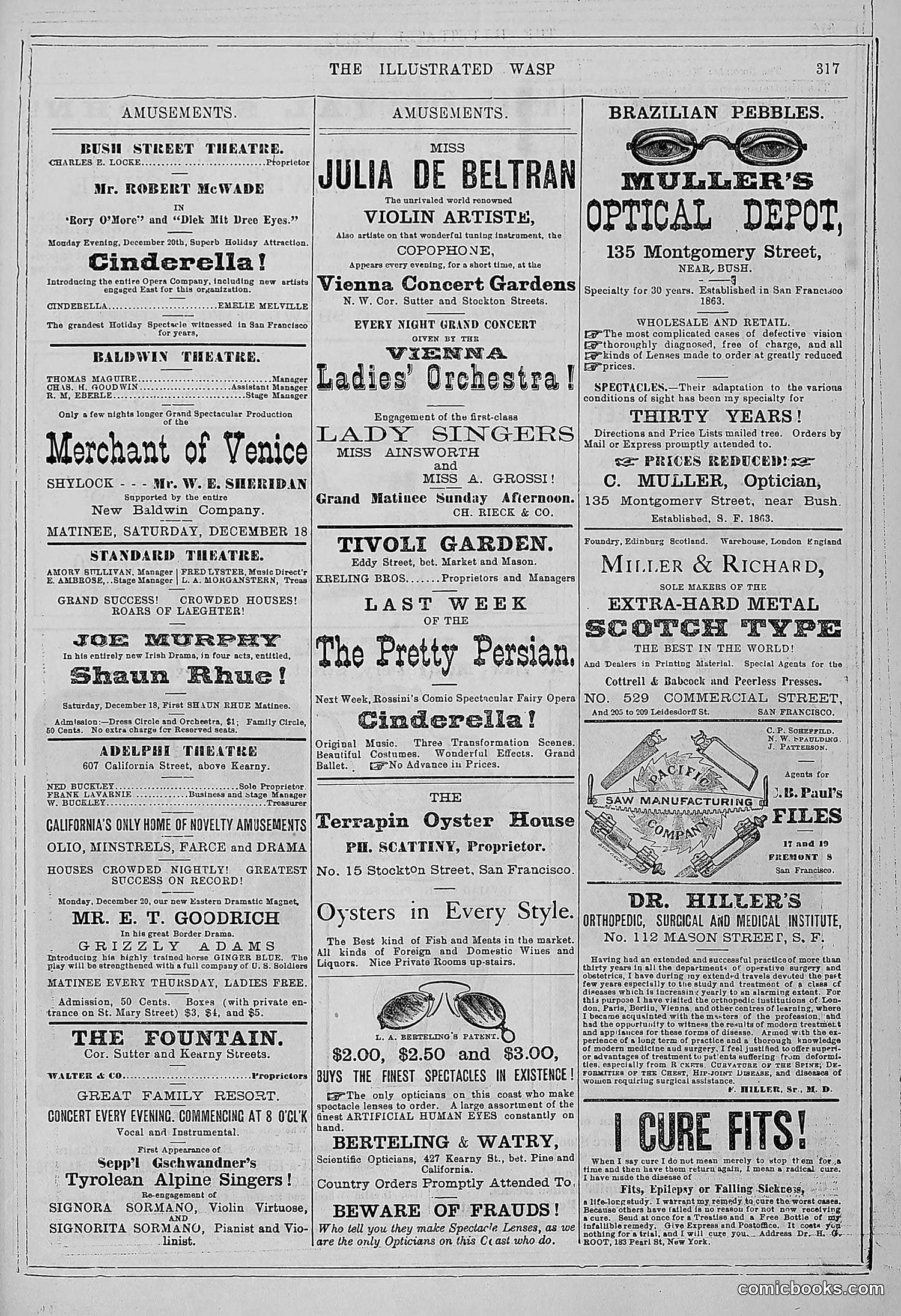The Wasp — 1880 — page 324 of 352