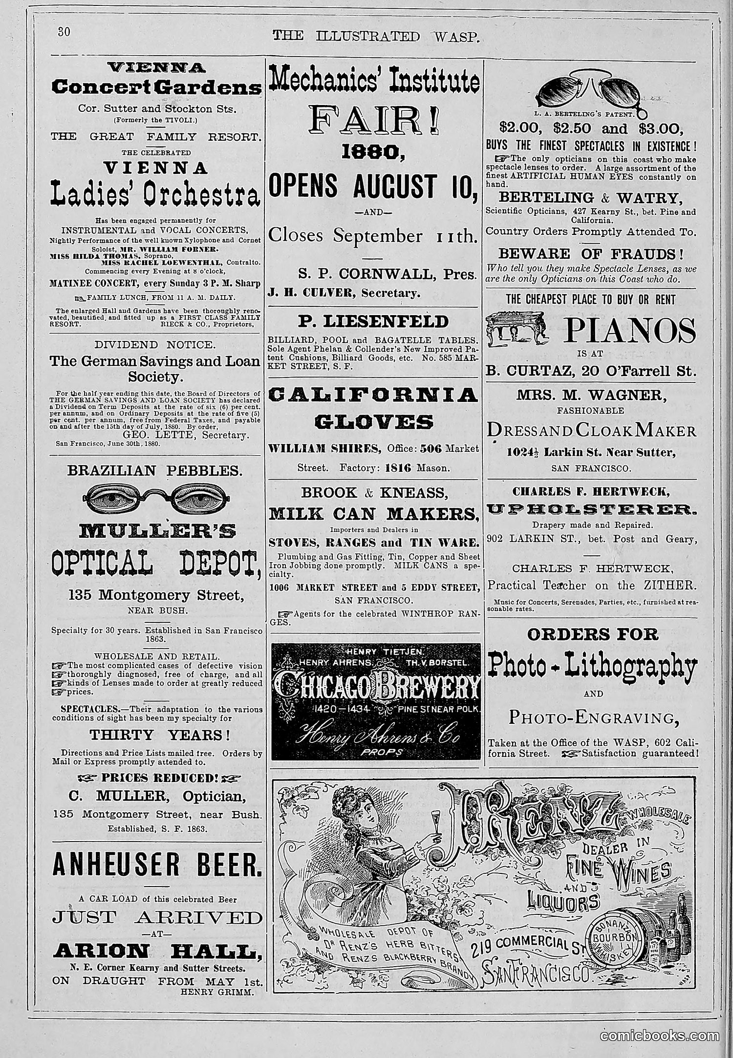 The Wasp — 1880 — page 37 of 352