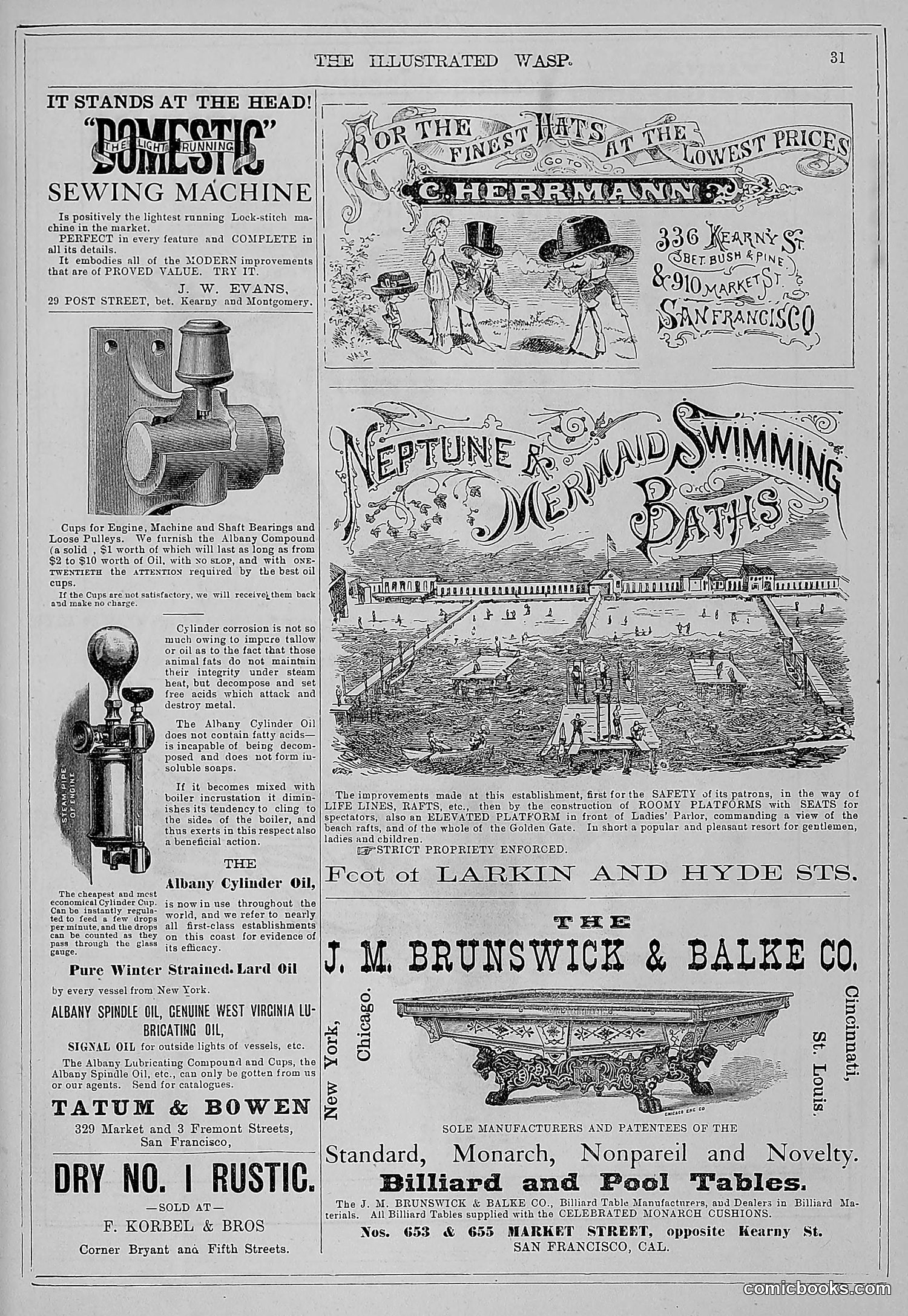The Wasp — 1880 — page 38 of 352