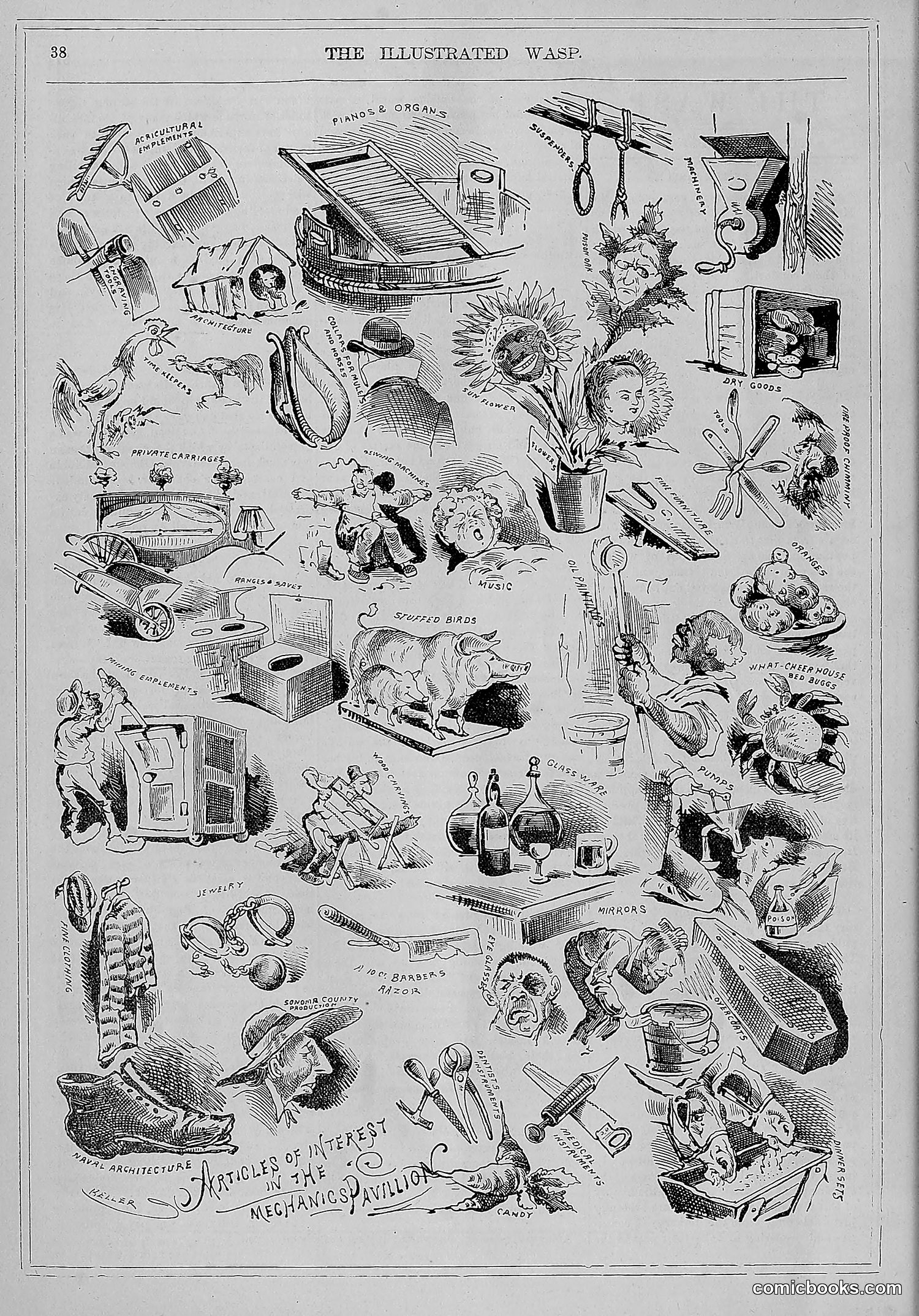 The Wasp — 1880 — page 45 of 352