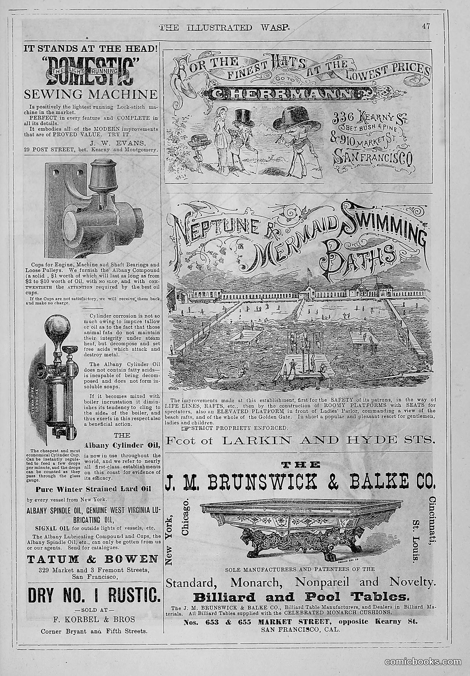 The Wasp — 1880 — page 54 of 352