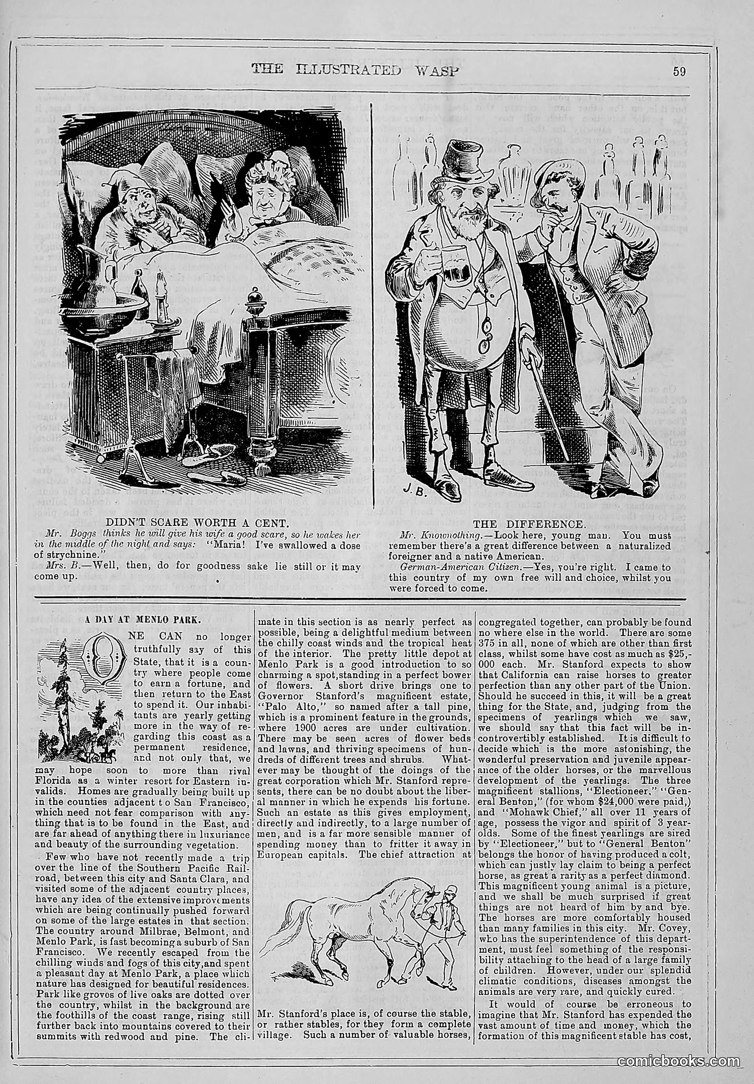 The Wasp — 1880 — page 66 of 352