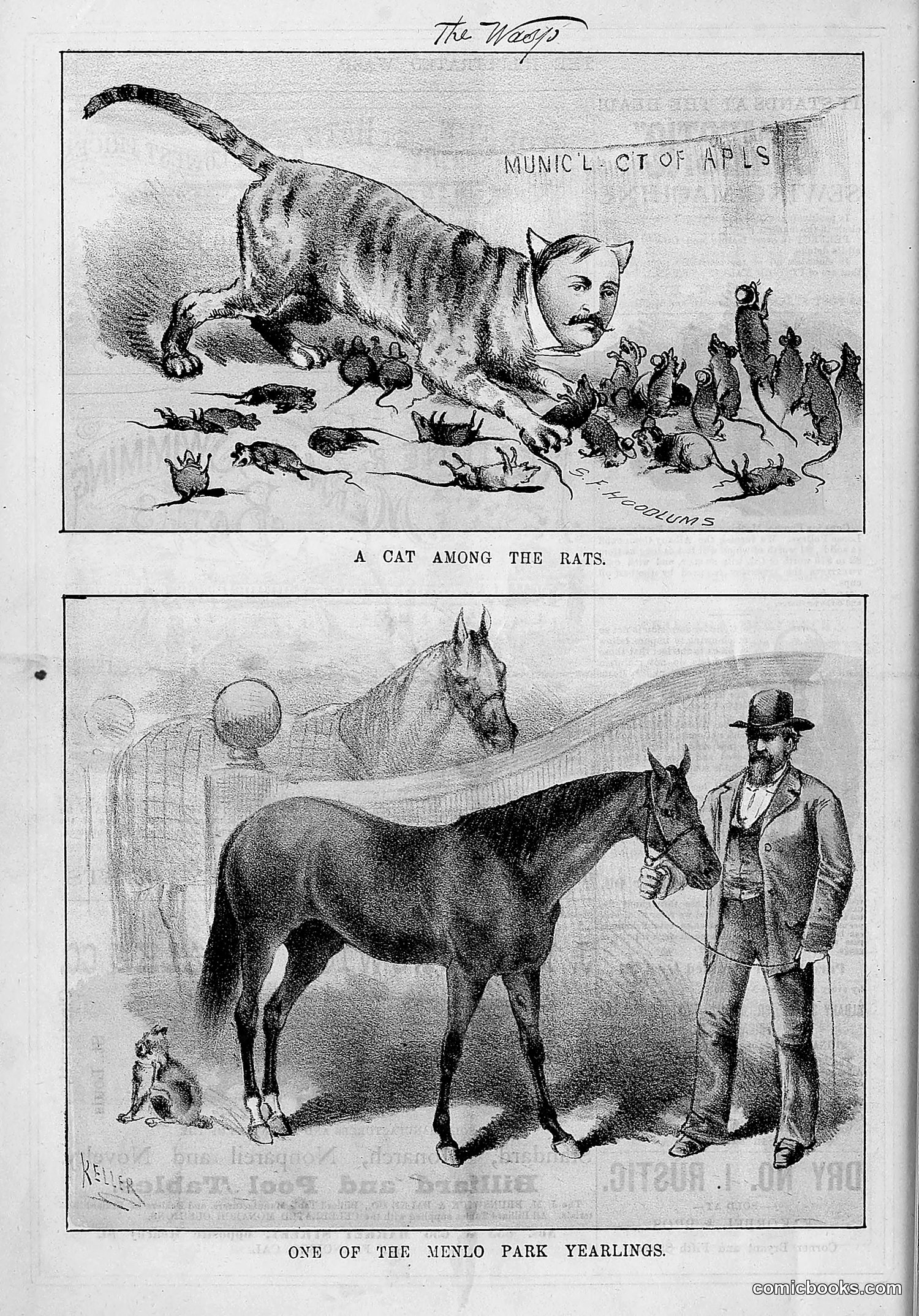 The Wasp — 1880 — page 71 of 352