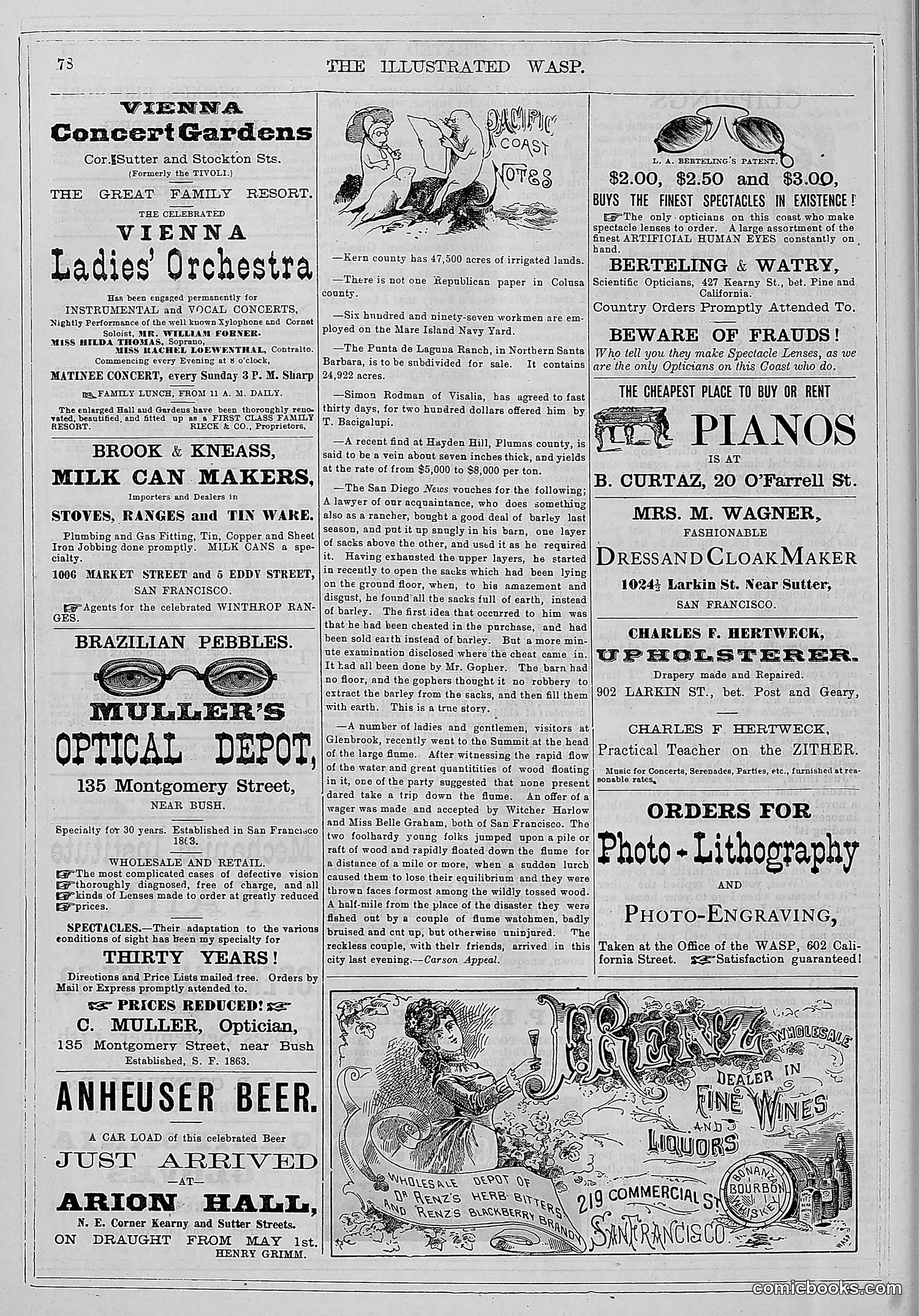 The Wasp — 1880 — page 85 of 352
