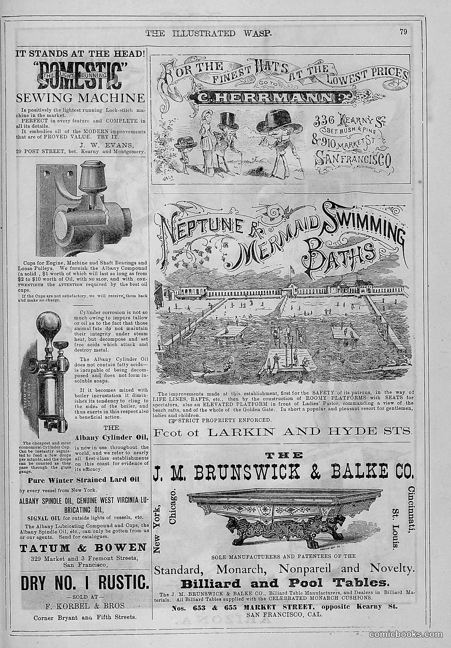 The Wasp — 1880 — page 86 of 352