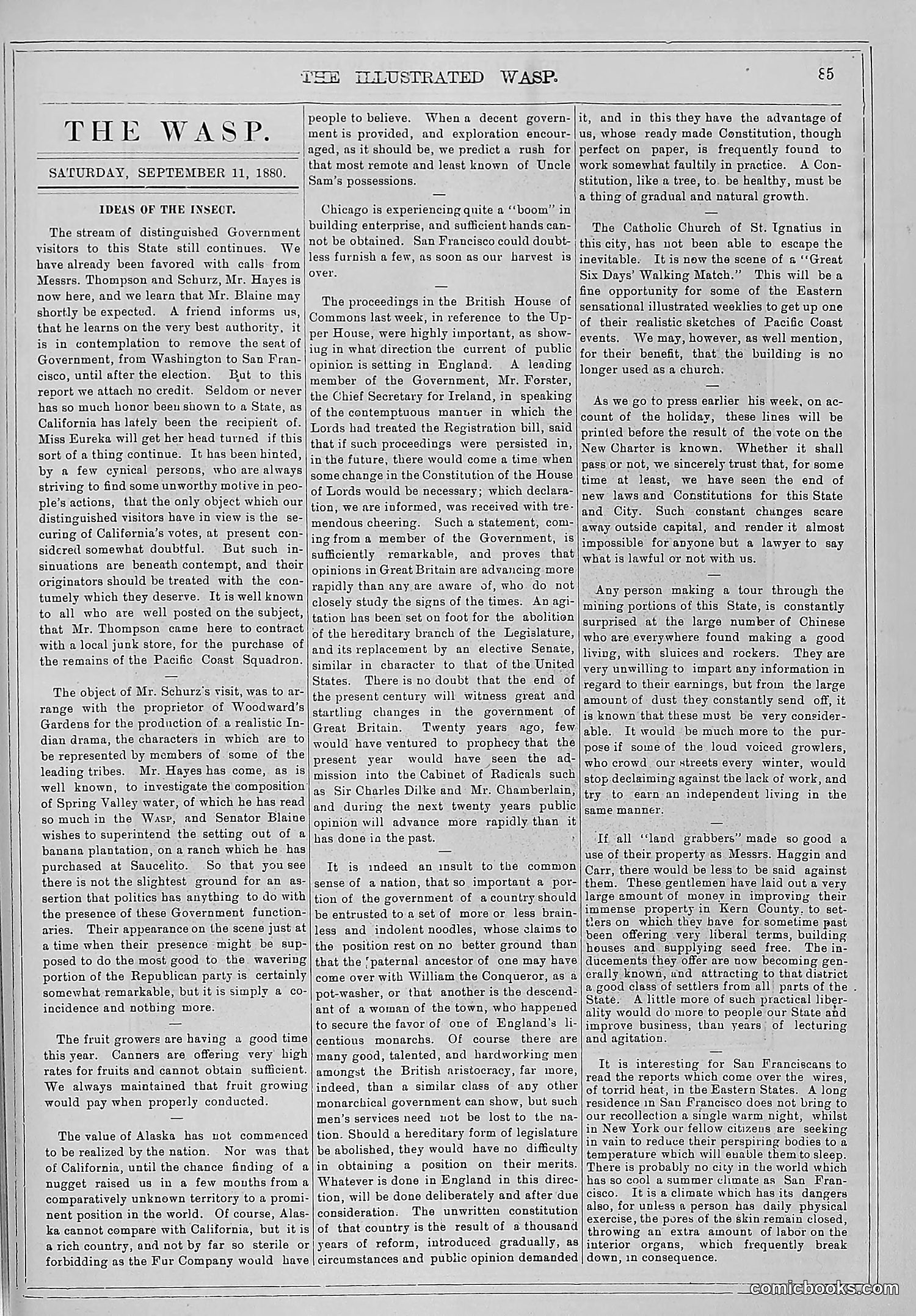 The Wasp — 1880 — page 92 of 352