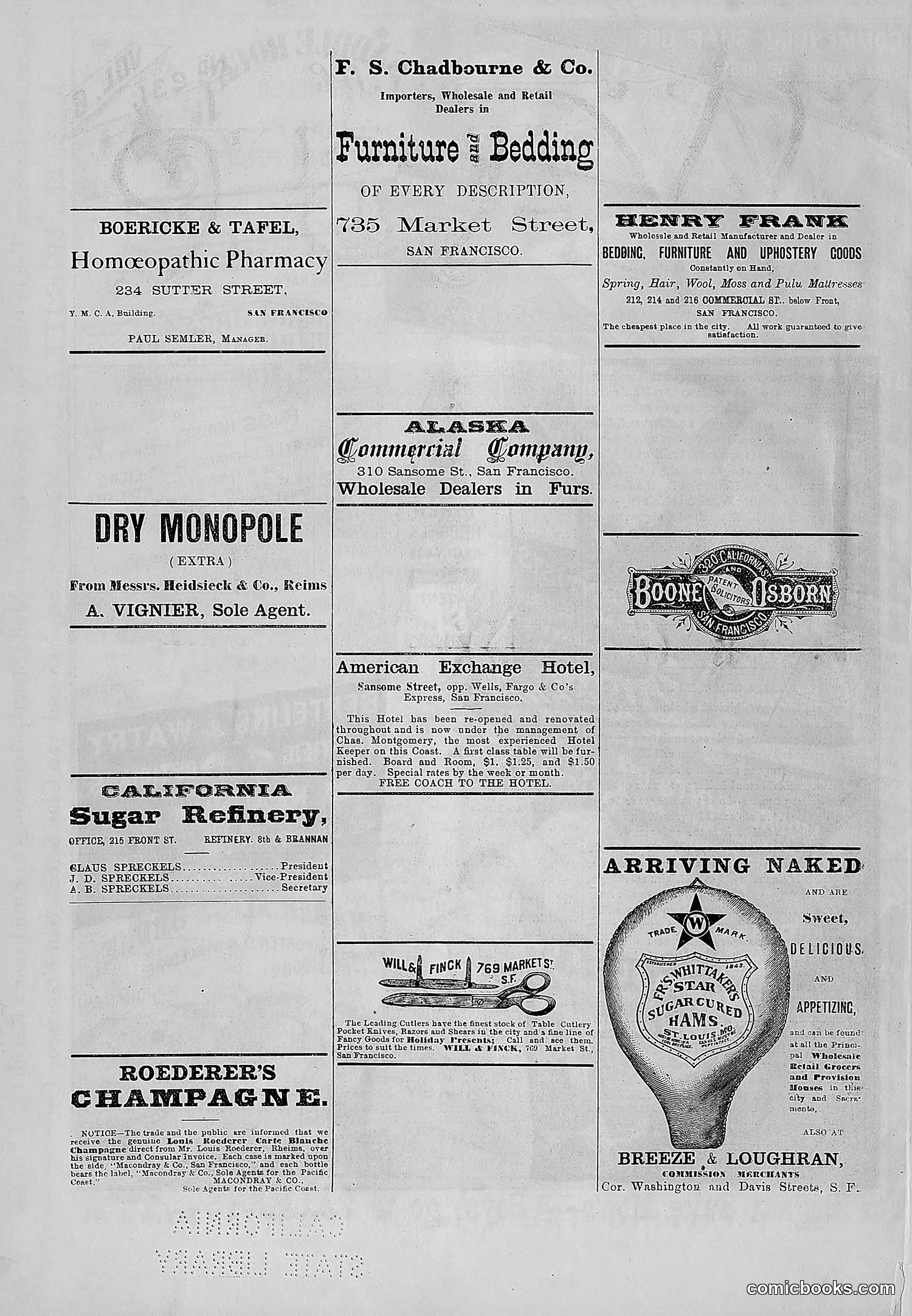 The Wasp — 1881 — page 9 of 532