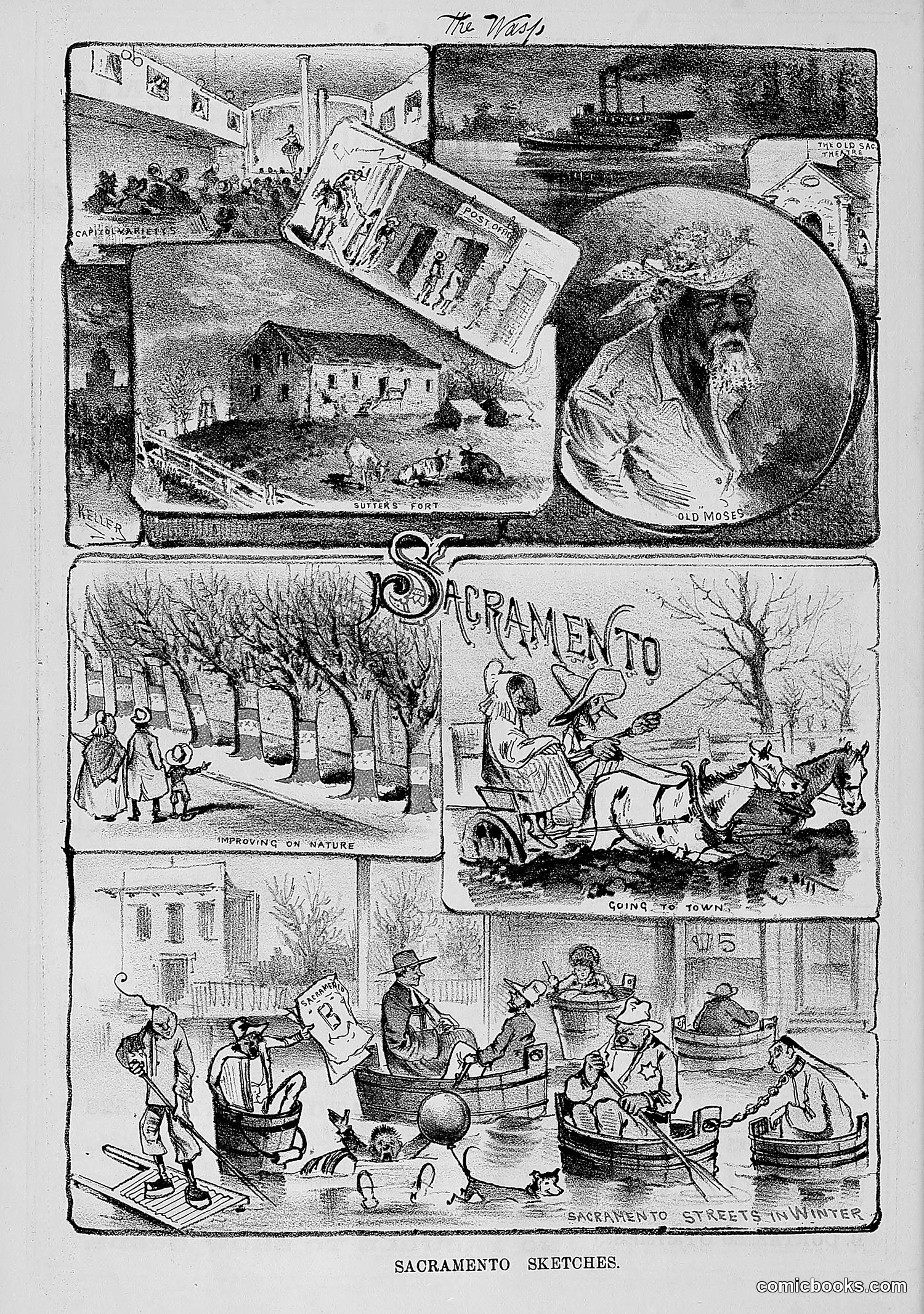 The Wasp — 1881 — page 105 of 532