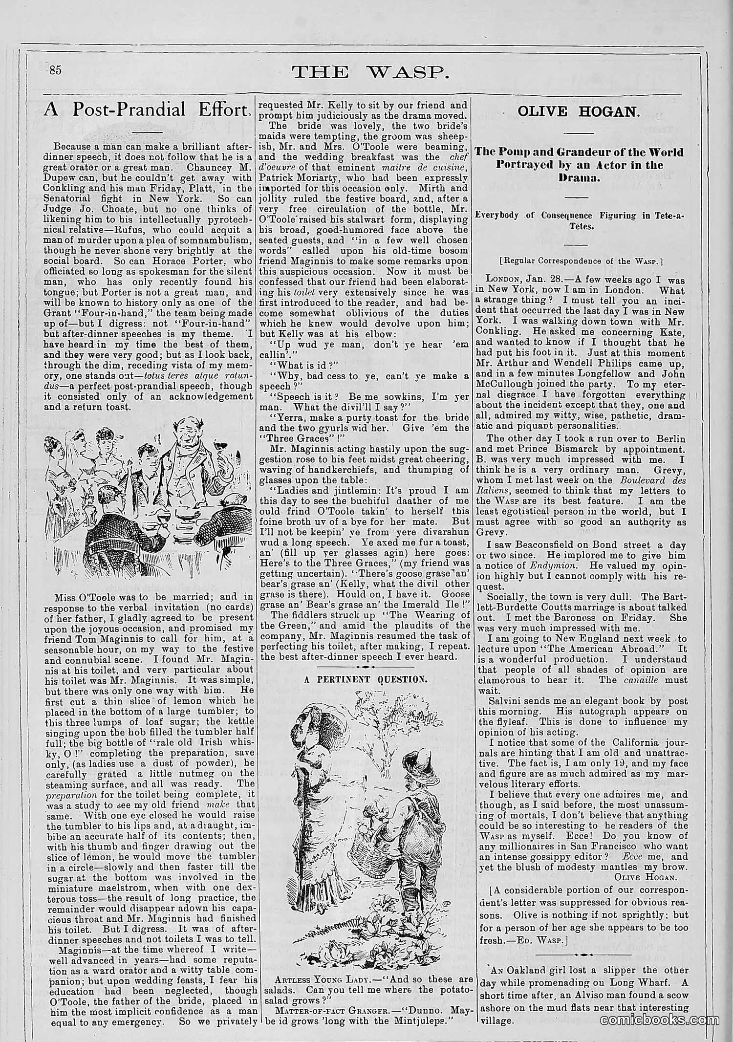 The Wasp — 1881 — page 113 of 532