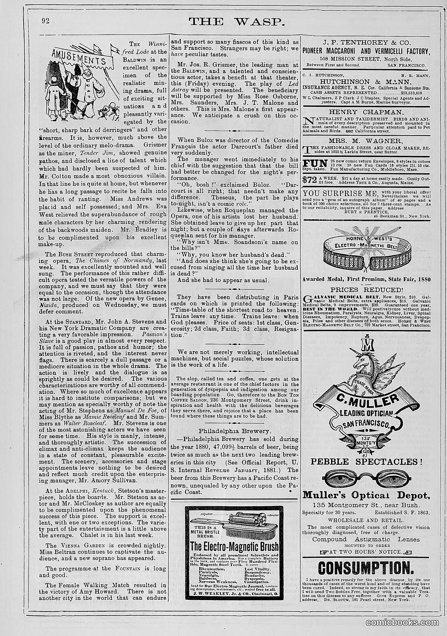 The Wasp — 1881 — page 121 of 532