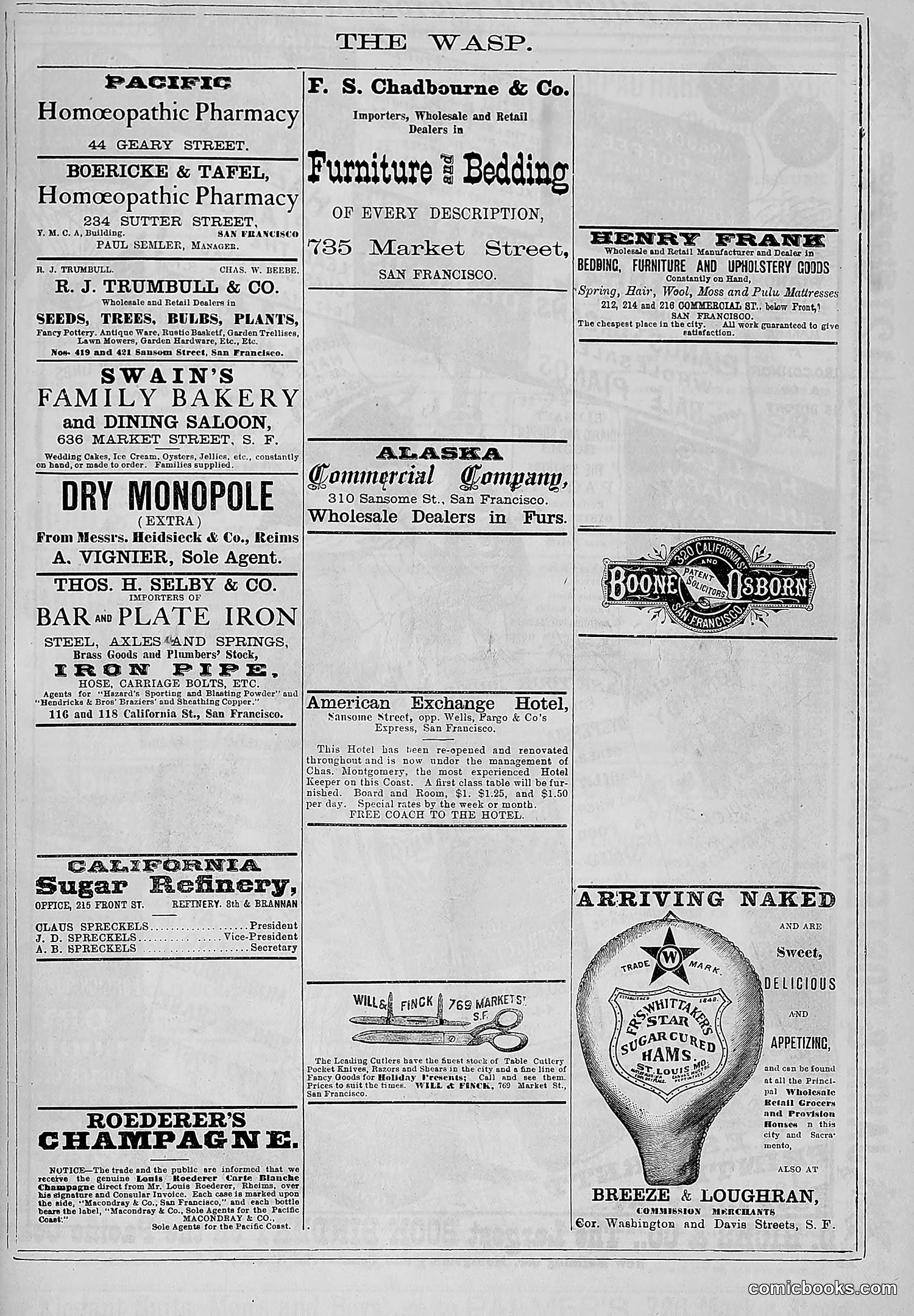 The Wasp — 1881 — page 126 of 532