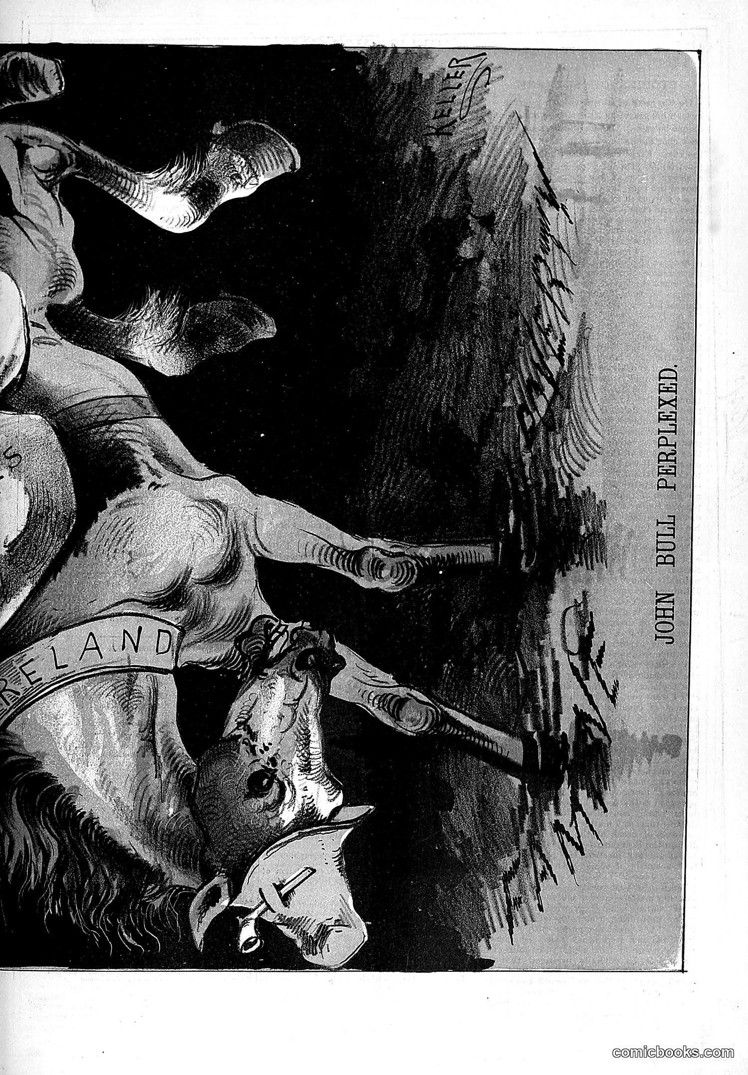 The Wasp — 1881 — page 138 of 532
