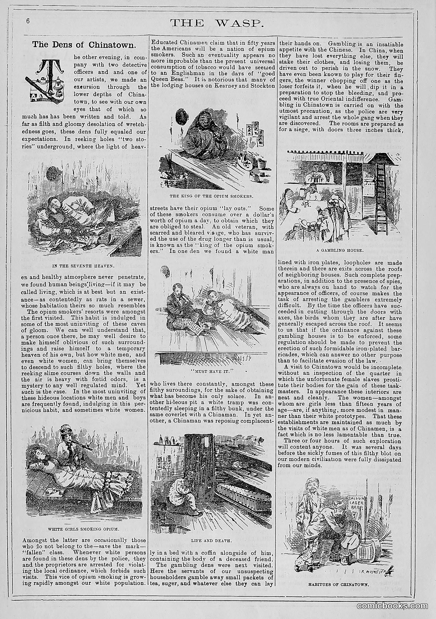 The Wasp — 1881 — page 15 of 532