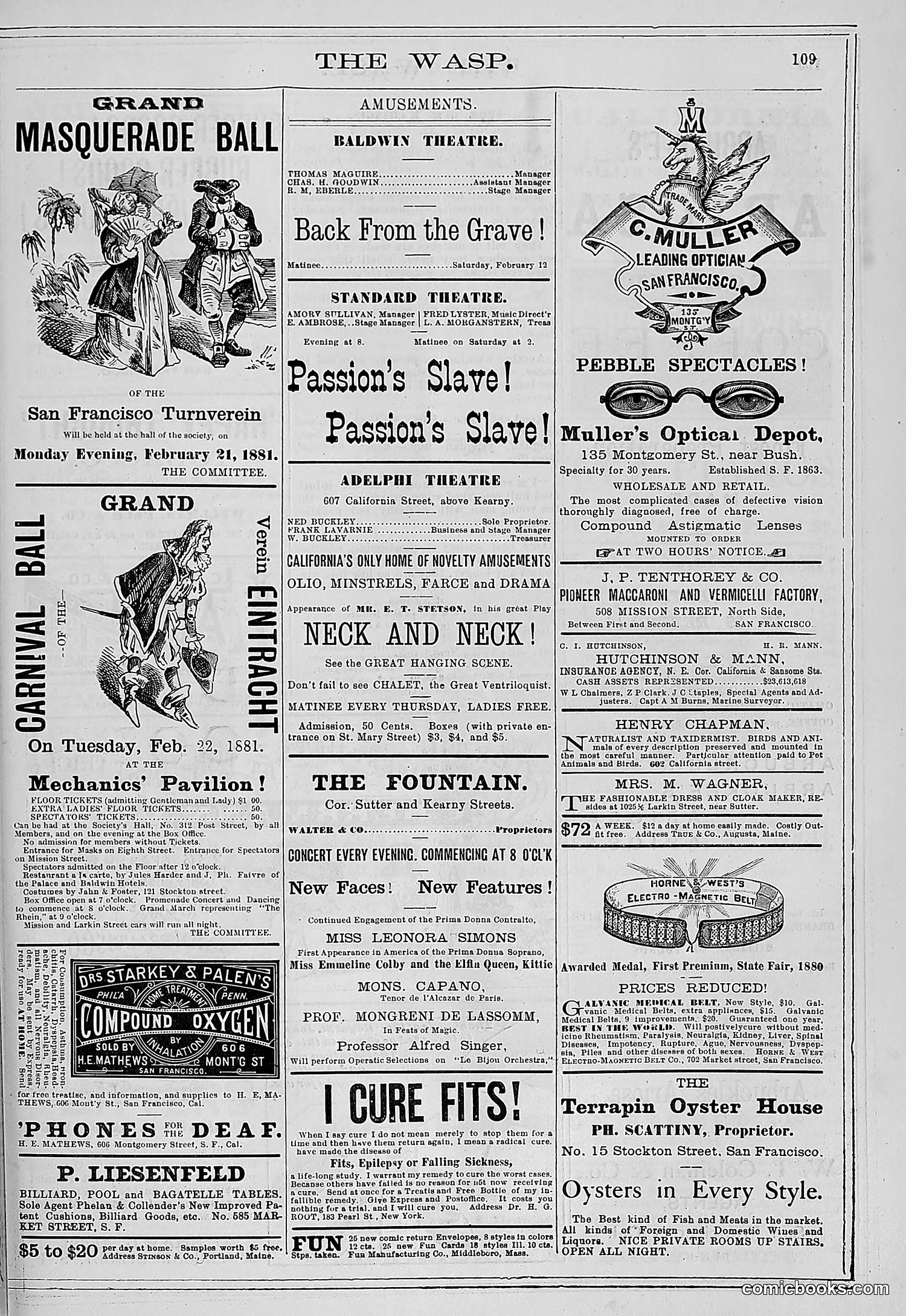 The Wasp — 1881 — page 142 of 532