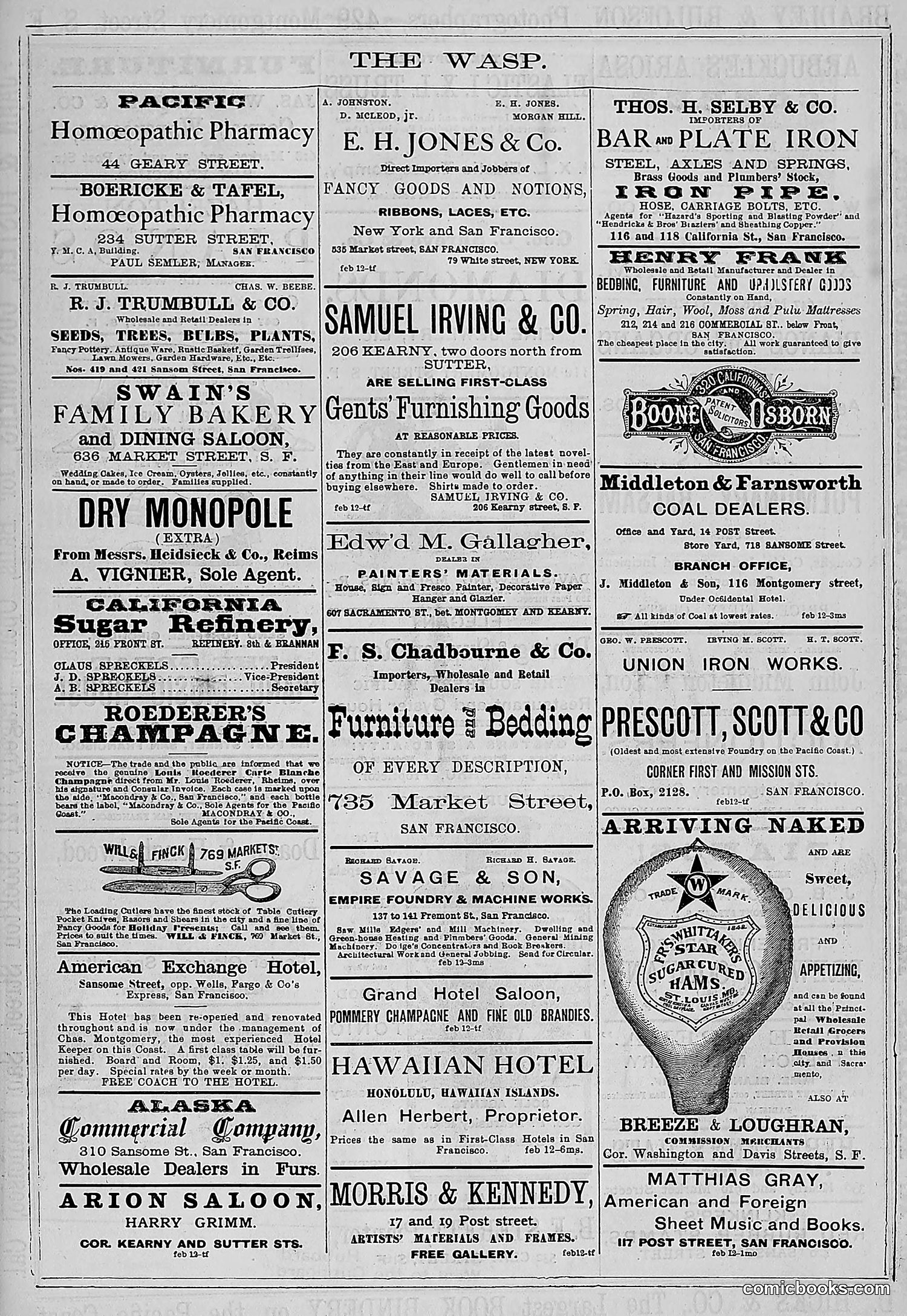 The Wasp — 1881 — page 146 of 532