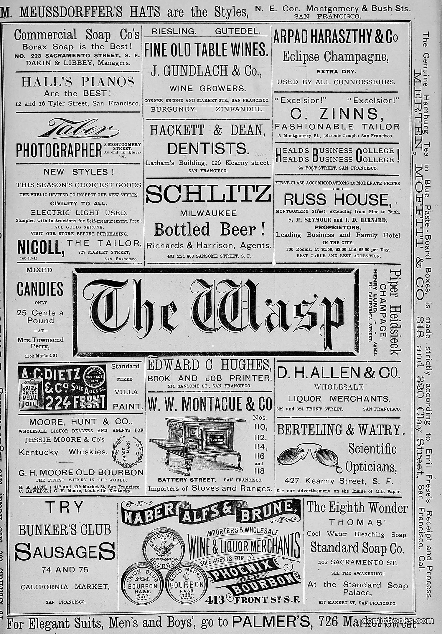 The Wasp — 1881 — page 148 of 532